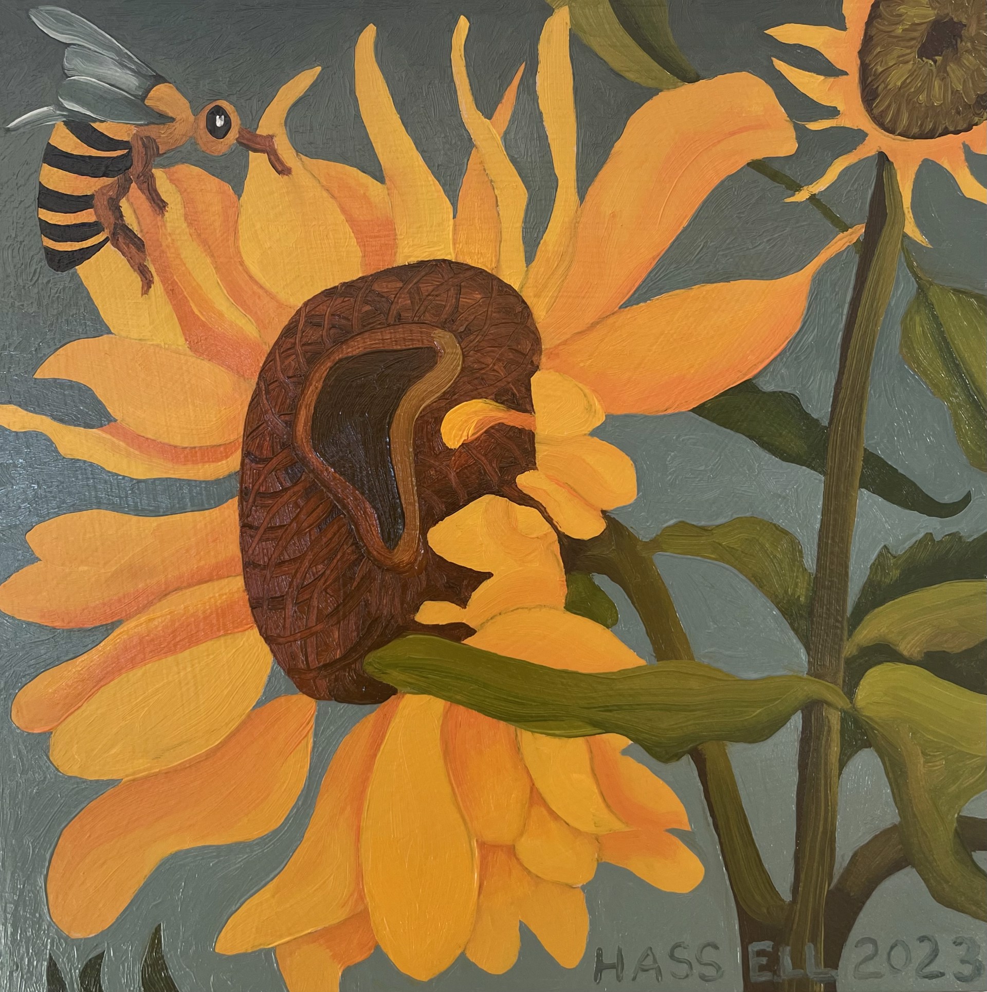 Sunflower with Honeybee by Billy Hassell