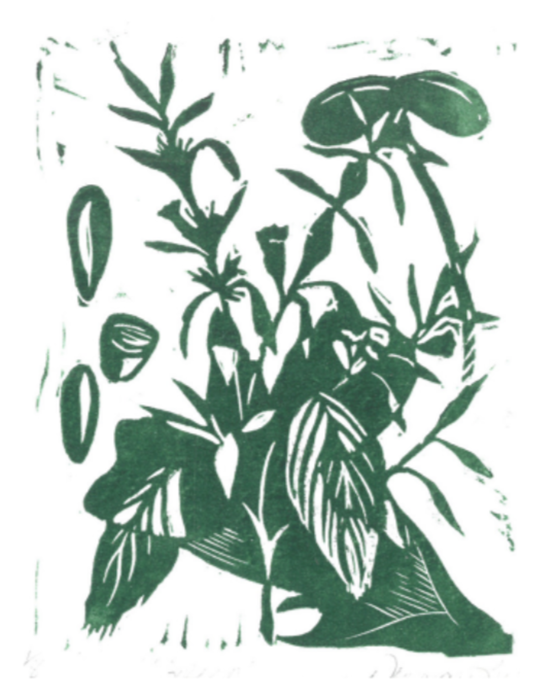 Plant Life - Dominique Litif Nelson by Artists For Humanity
