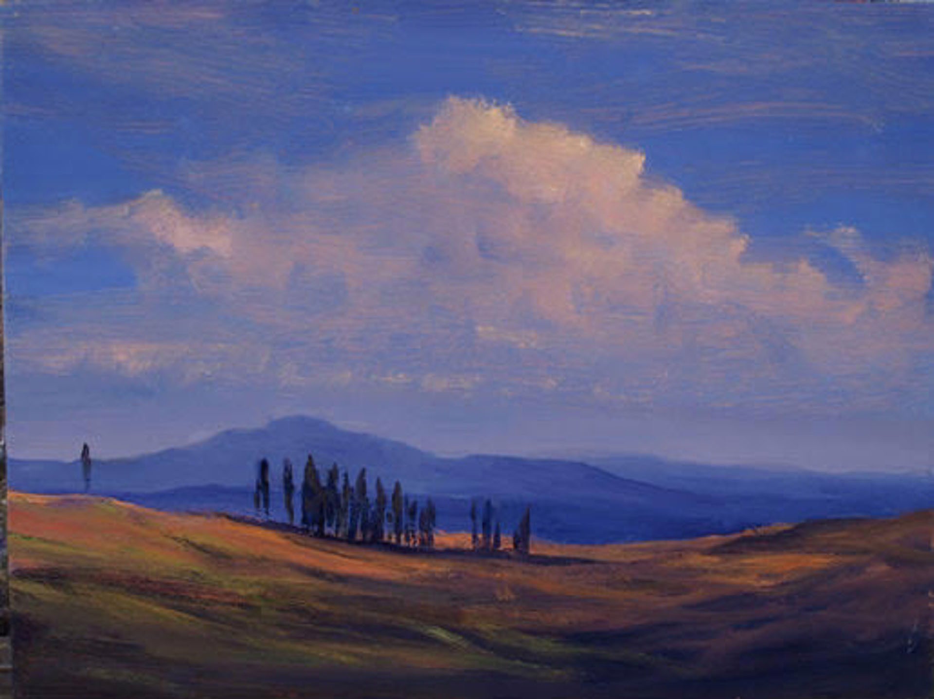 Study, Cypresses, Tuscany by William Berra