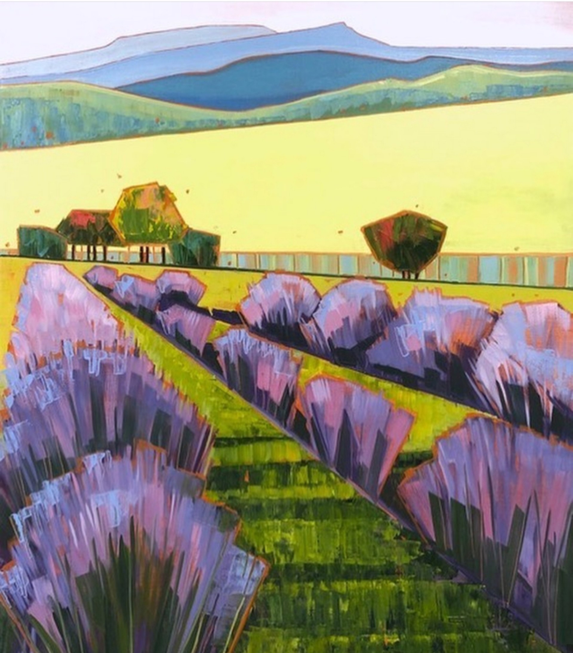 Lavender in June  by Sarah Gayle Carter