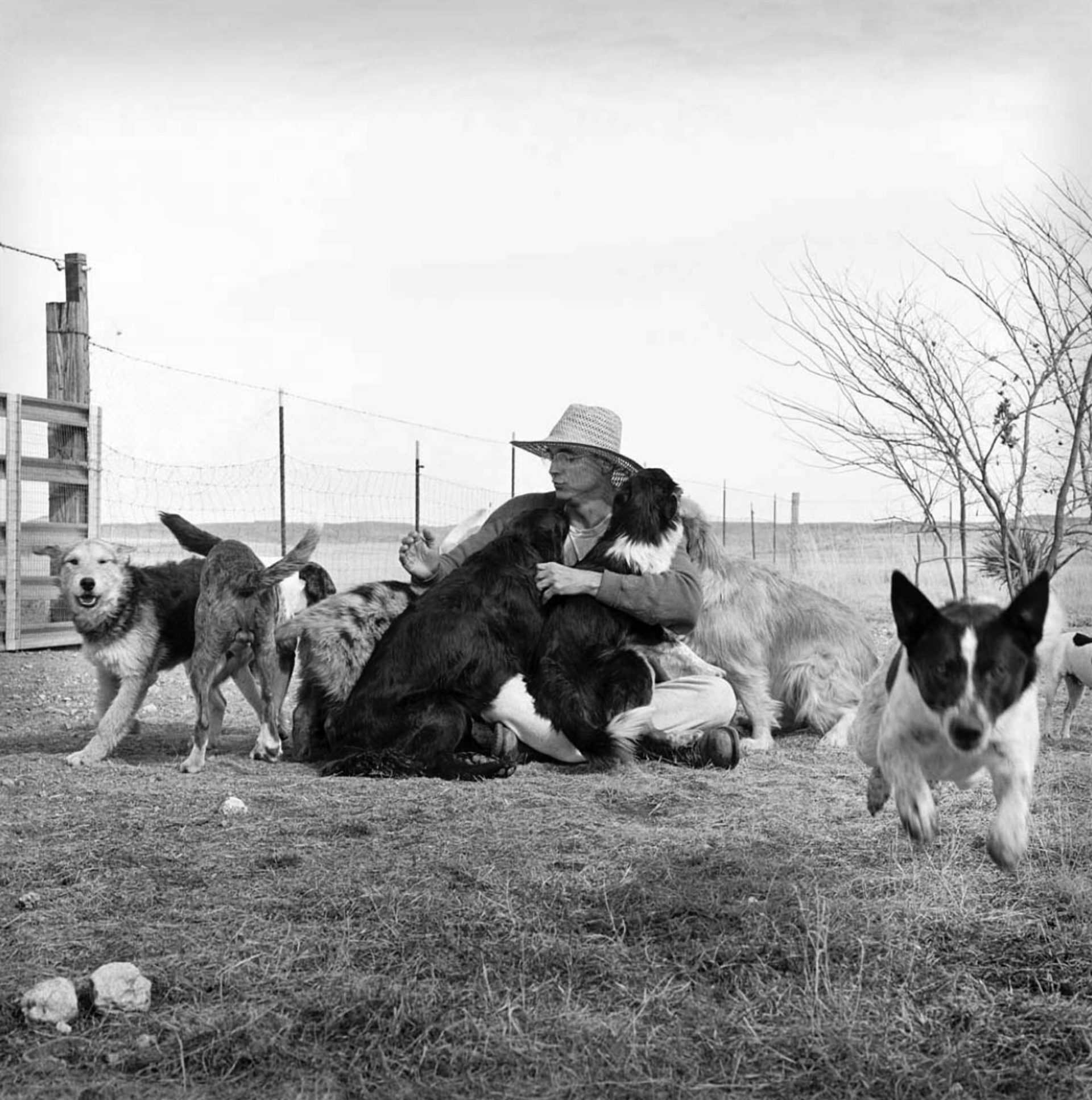 Lineaus Lorette with all his Dogs by James H. Evans