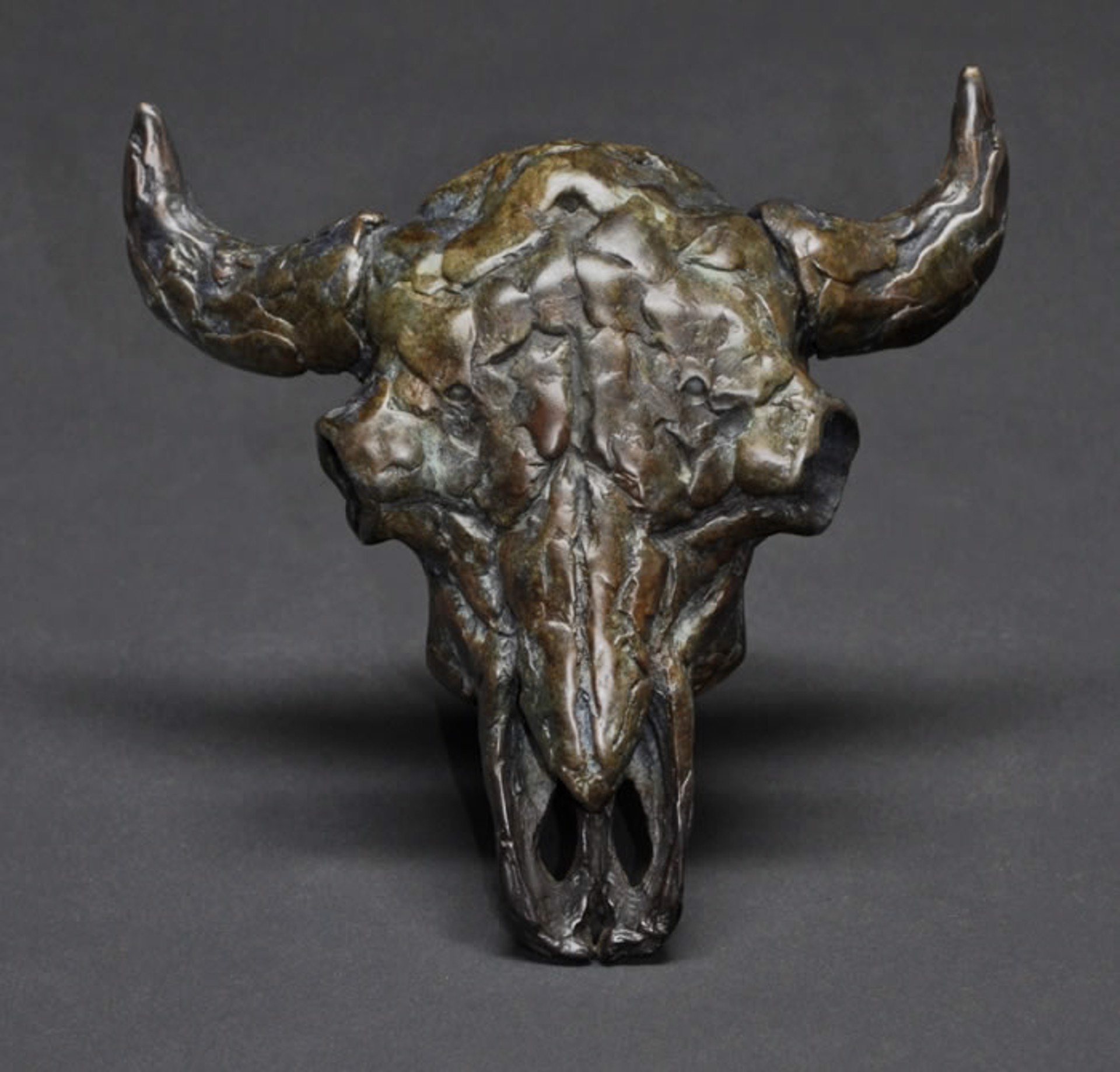 Bison Skull by Mick Doellinger