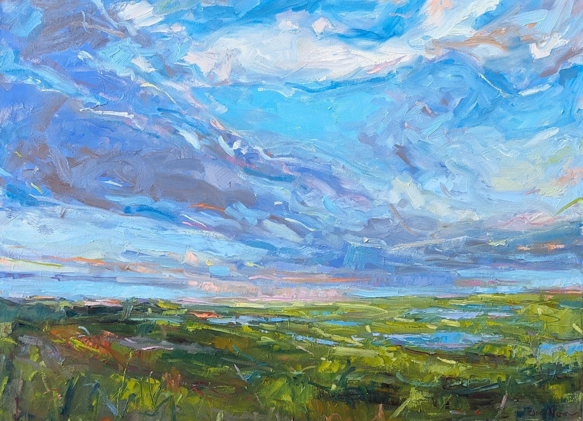 Florida Wetlands by Cindy Vener