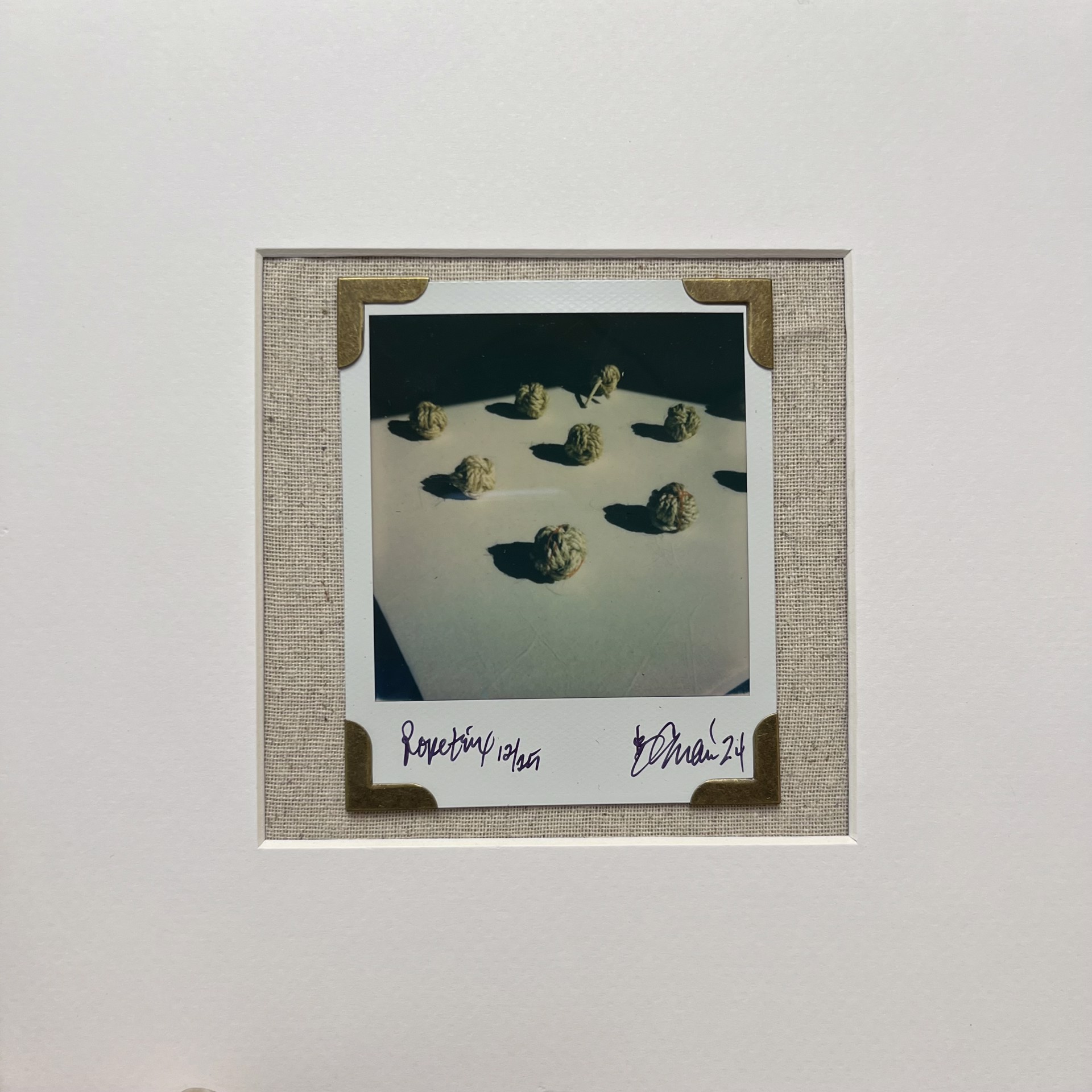 RopeTrix Polaroid 12/25 by B Shawn Cox