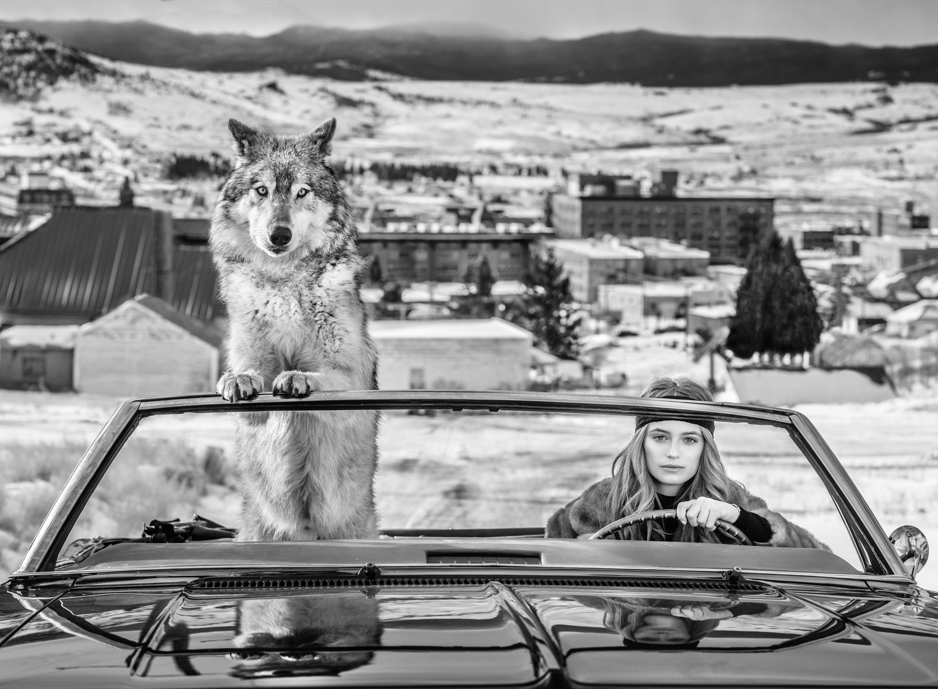 Bonnie and Clyde by David Yarrow