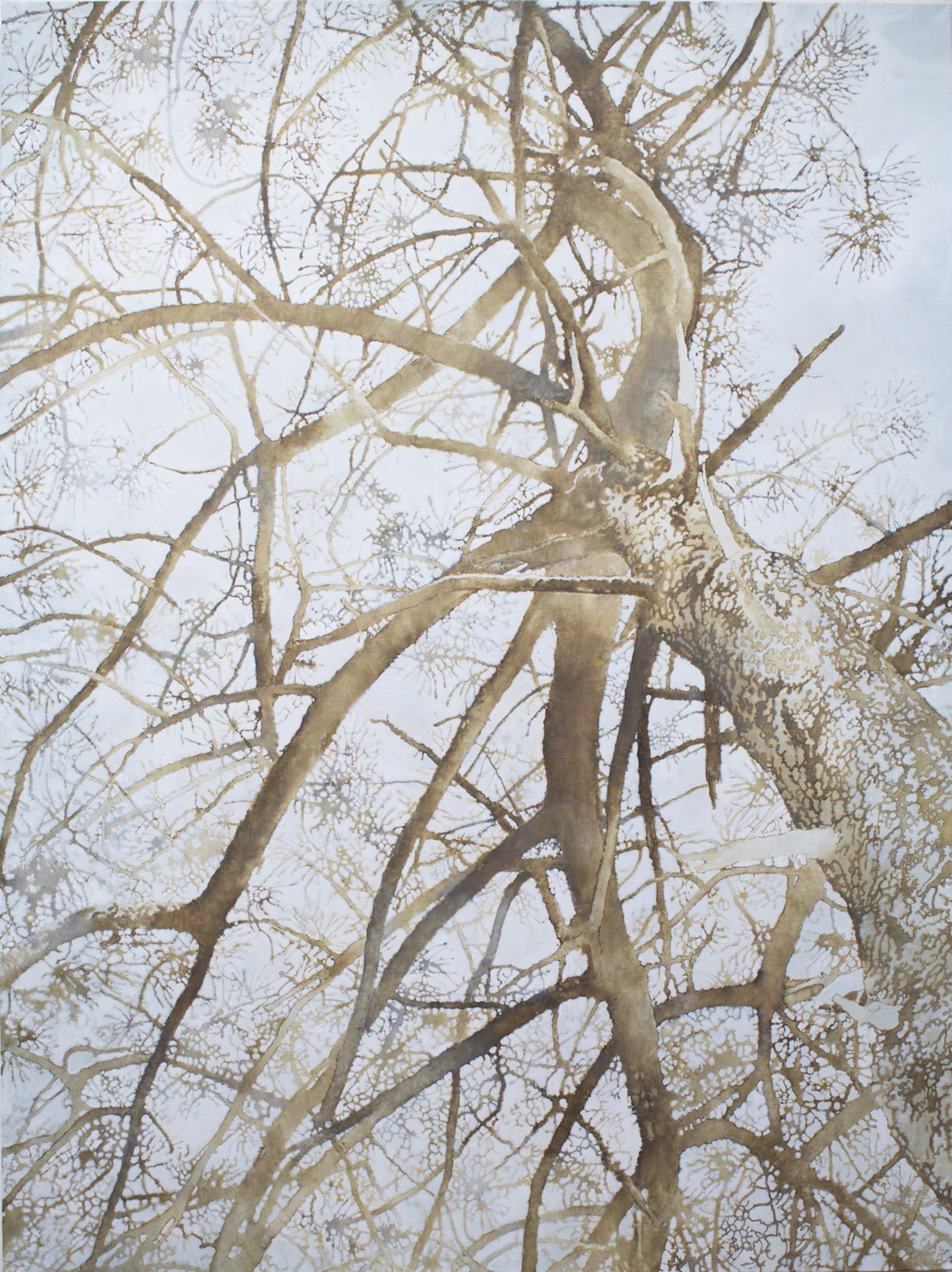 Treetop by Benjamin Guffee
