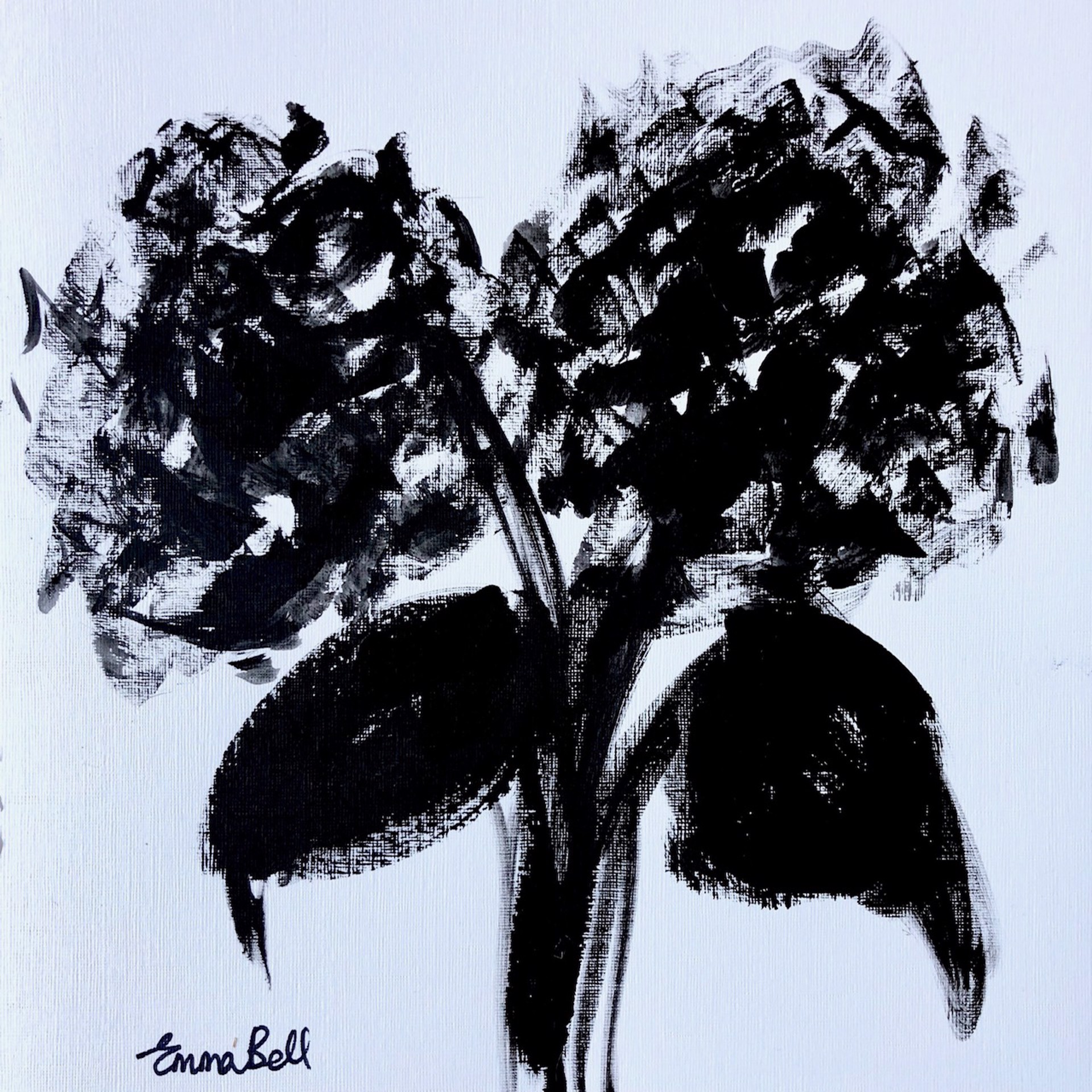 Black & White 2 Hydrangeas by Emma Bell