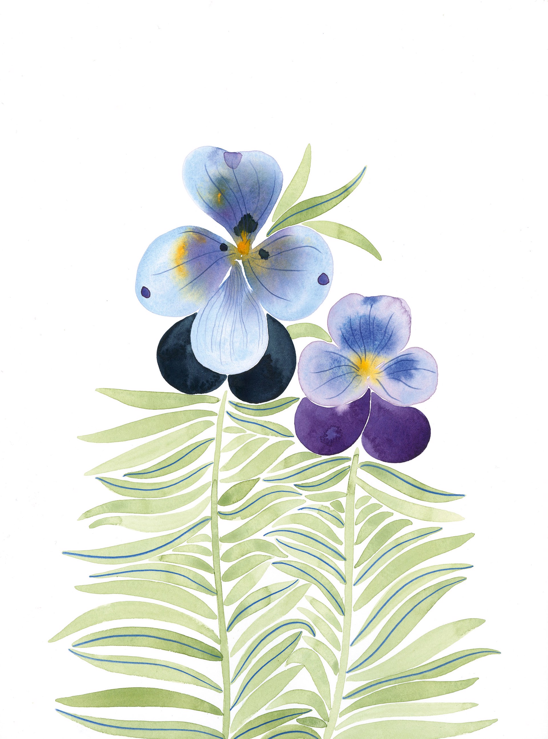 Turquoise Pansies by Anine Cecilie Iversen