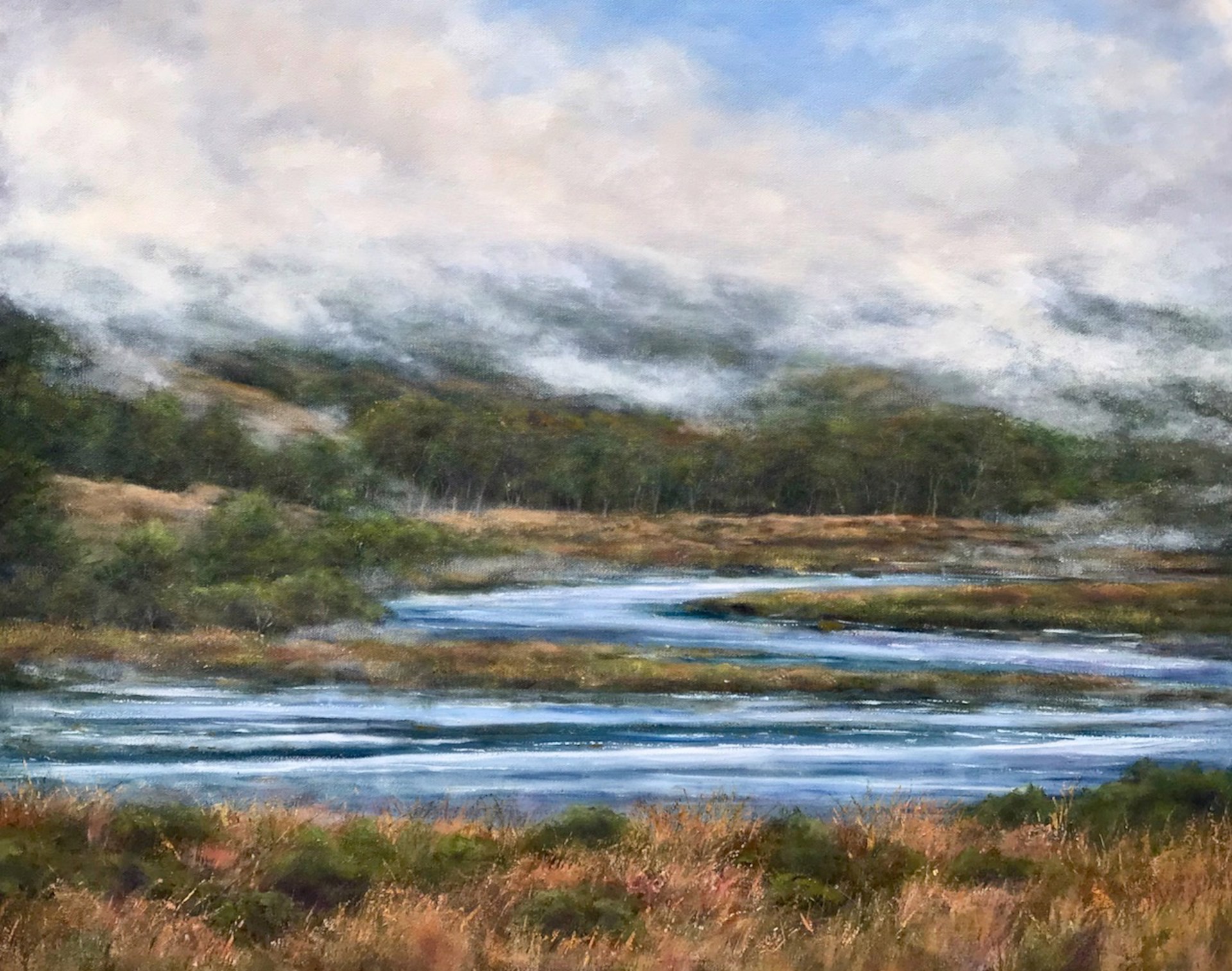 Late Morning in Point Reyes by Sheila Delimont