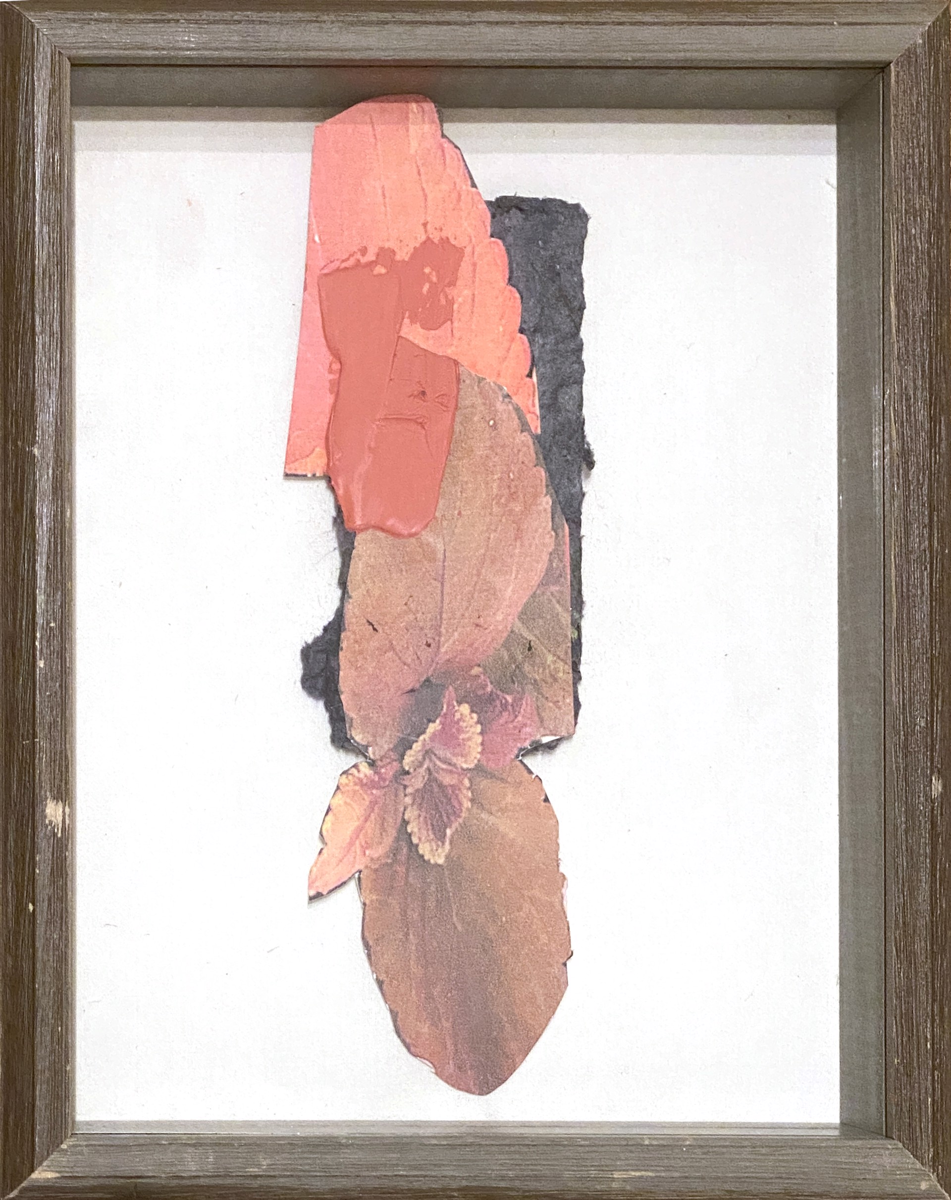 Orange Leaf #5 by Jonathan Paul Jackson Smalls