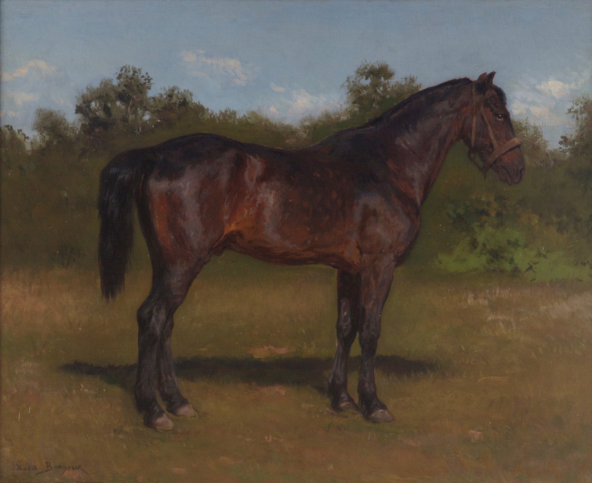Portrait of a Bay Horse by Rosa Bonheur