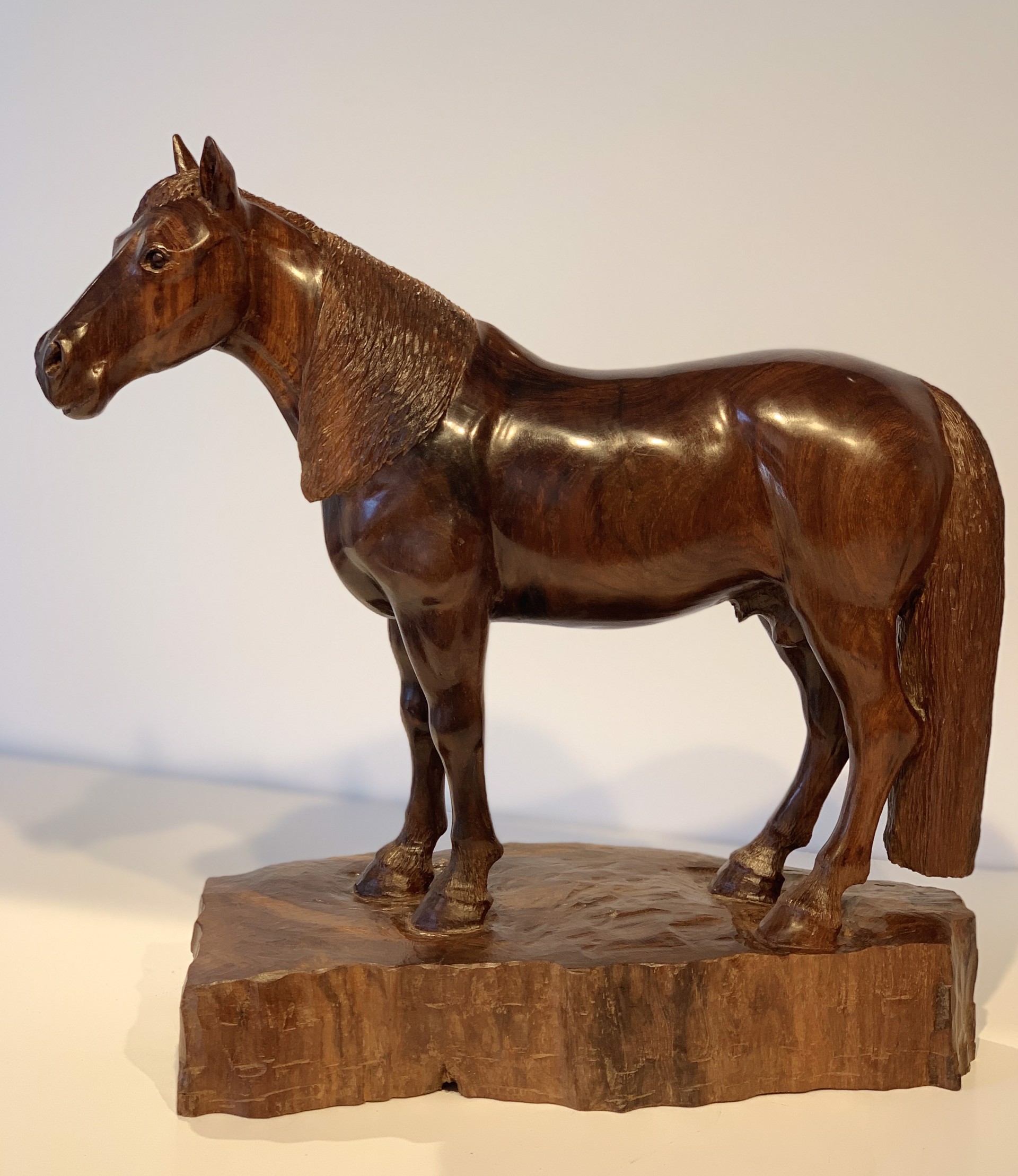 Horse Standing by Thomas Suby