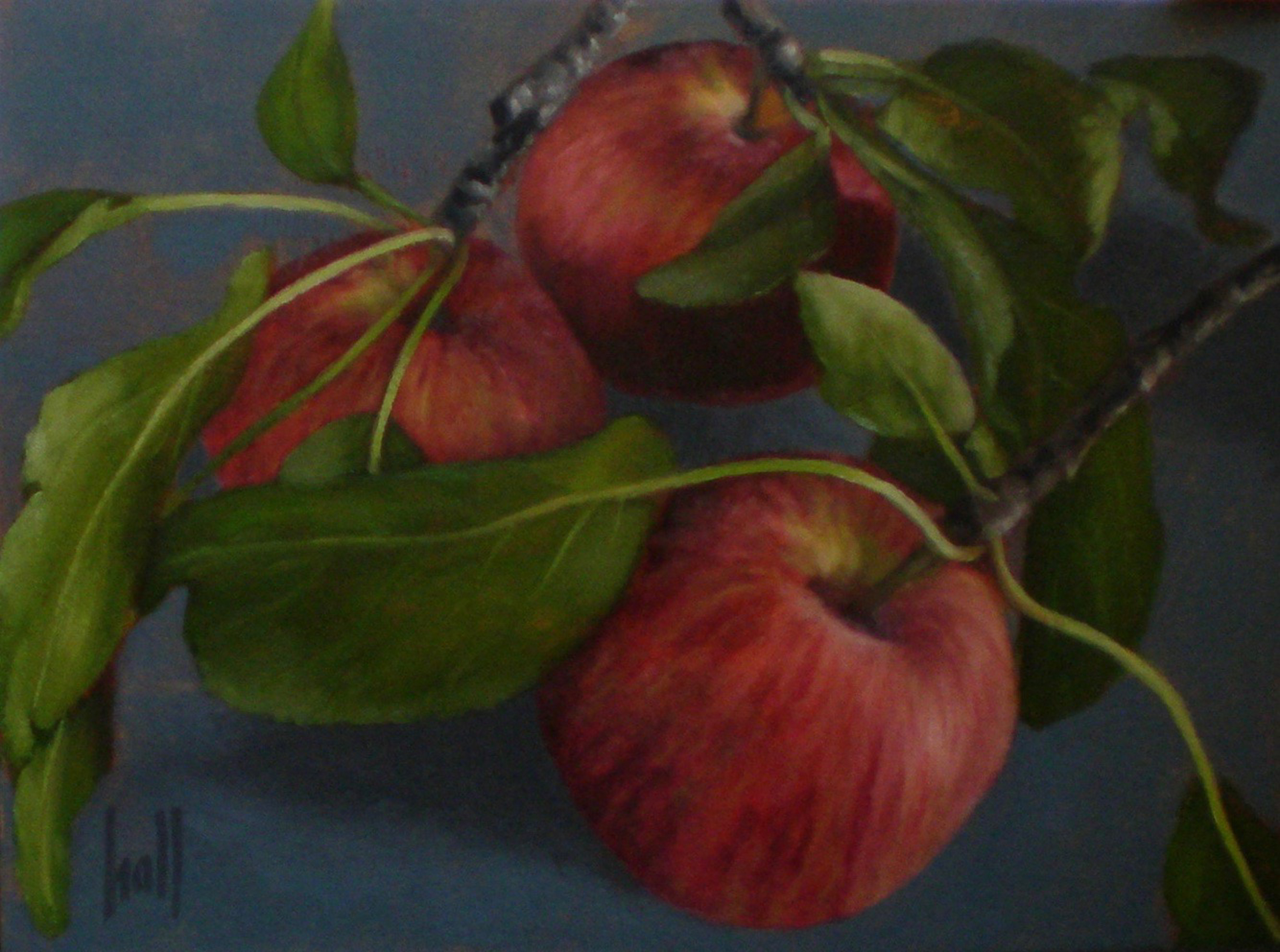 Fresh Apples by Wendy Hall