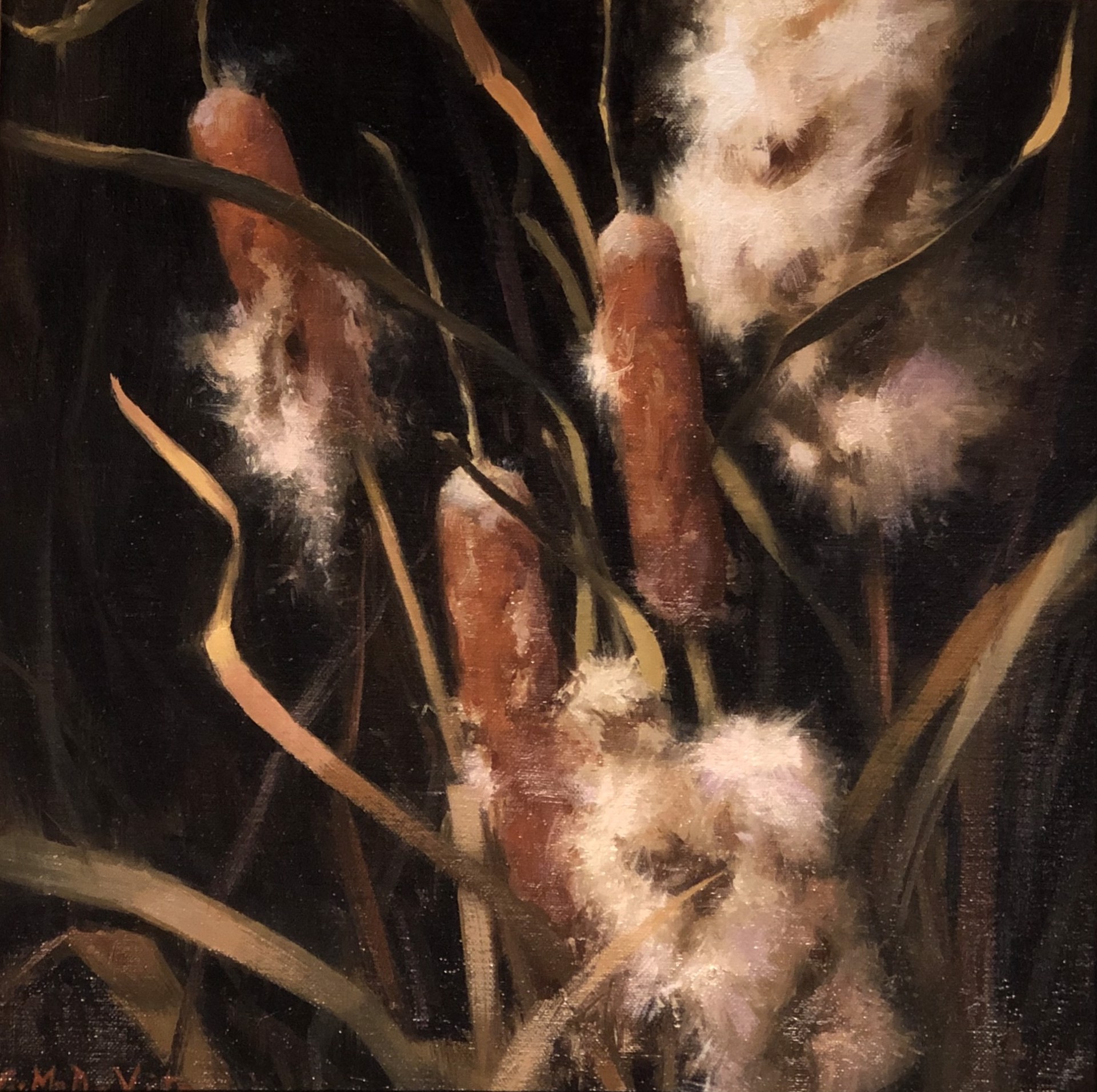 Cat Tails by GRACE DeVITO
