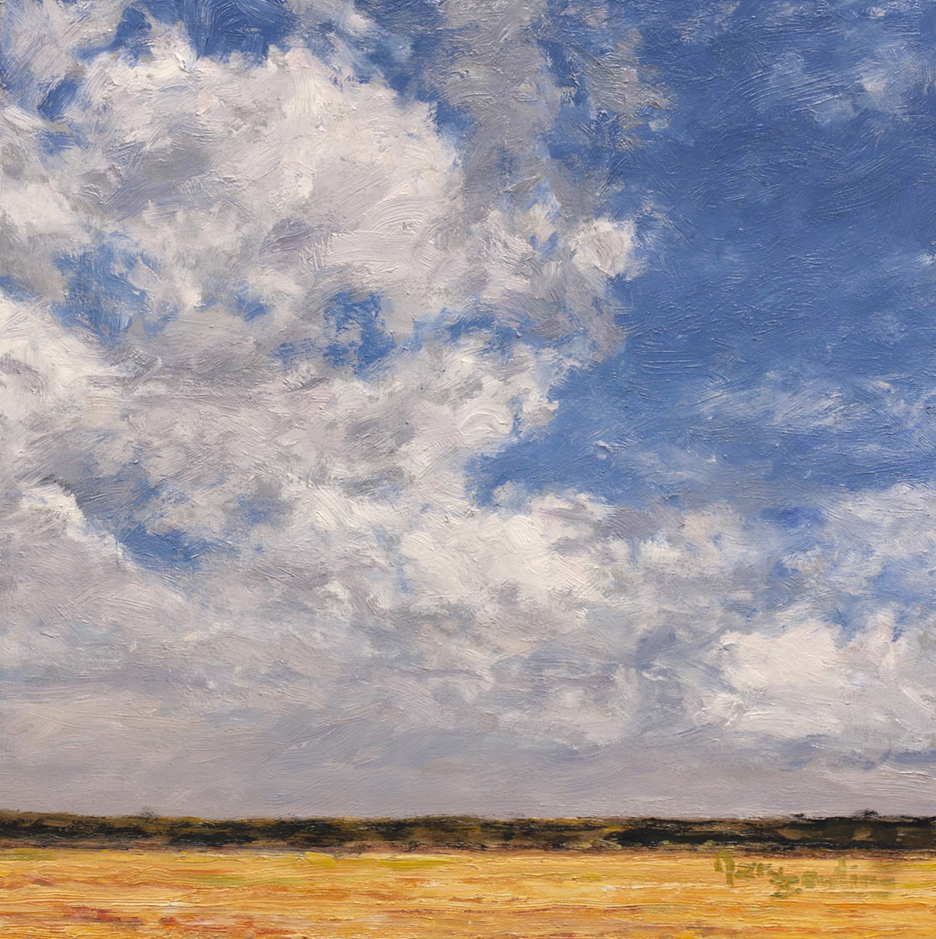 Prairie Sky 2 by Gary Bowling