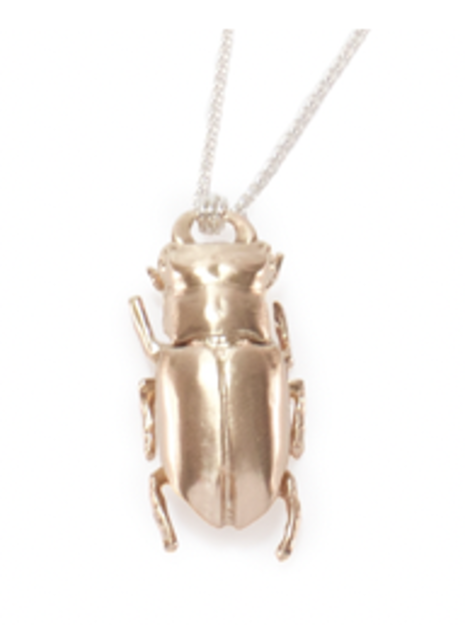 Cast Bronze Beetle Pendant by Audrey Laine
