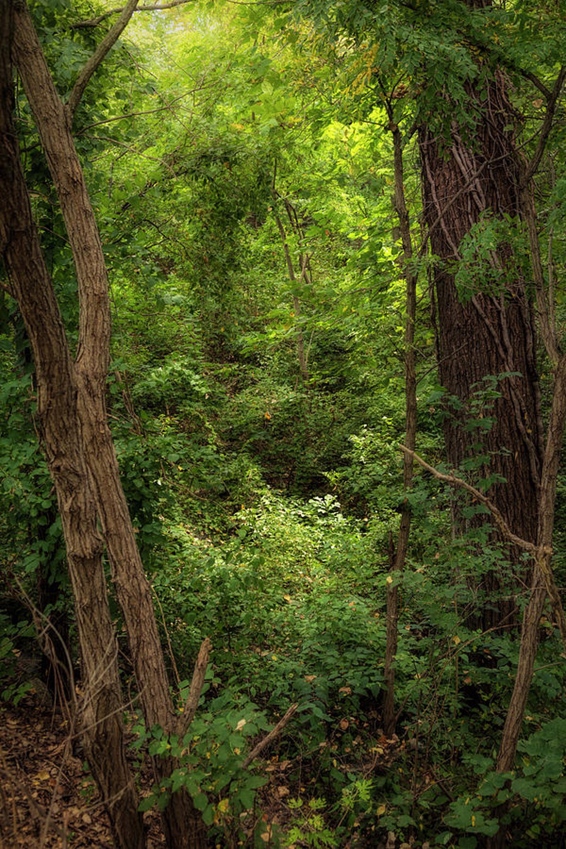 An Invitation by Scott Bean