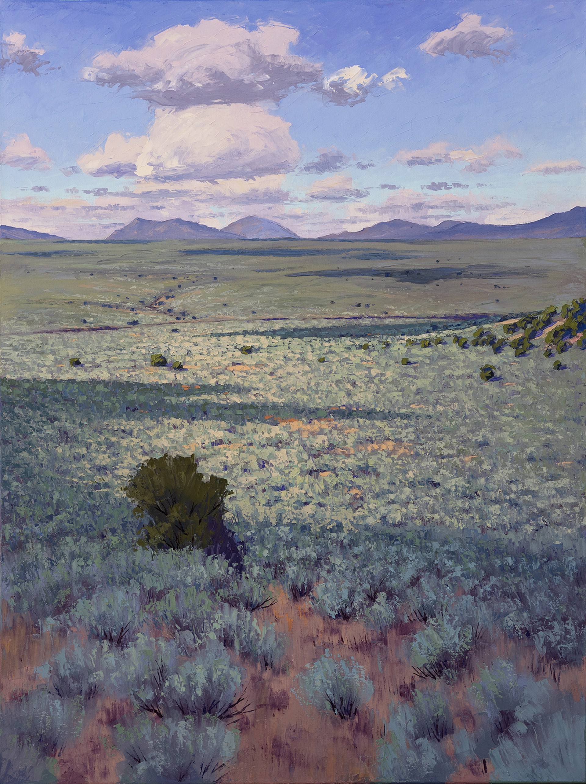 Taos Mesa Shadows by Ken Daggett