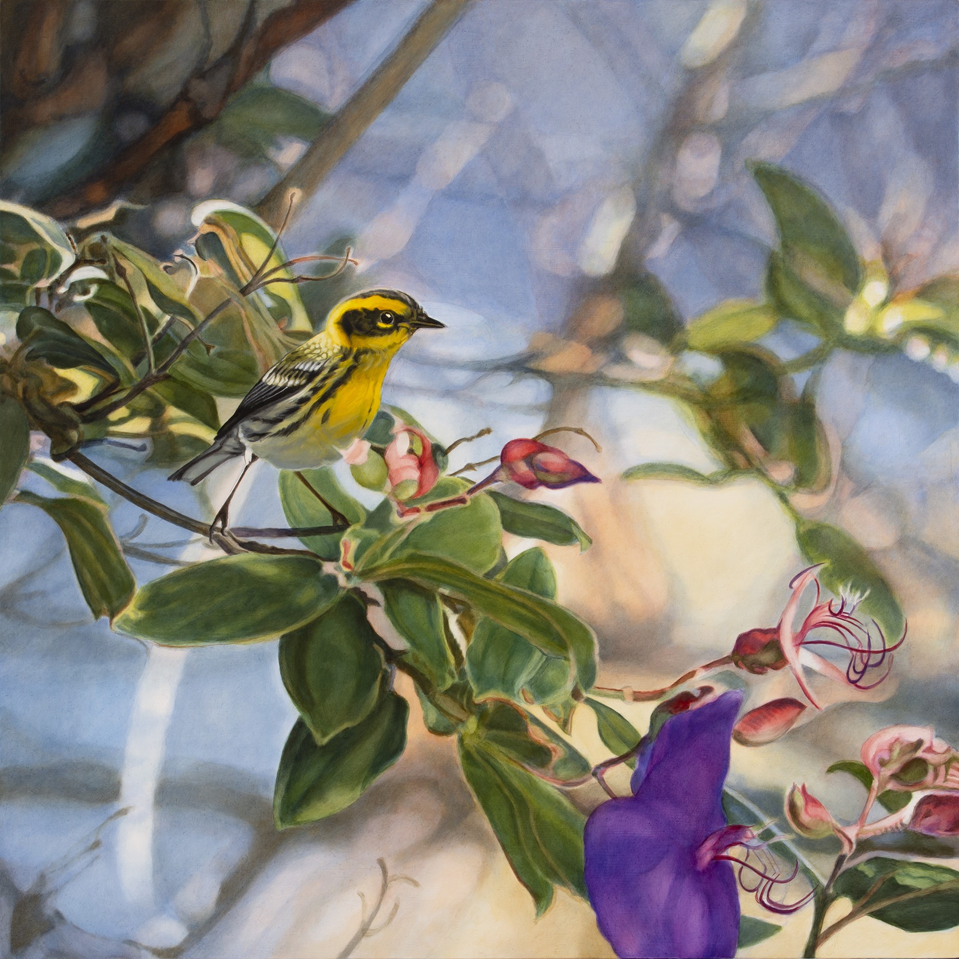 Townsend Warbler III by Diane Andrews Hall