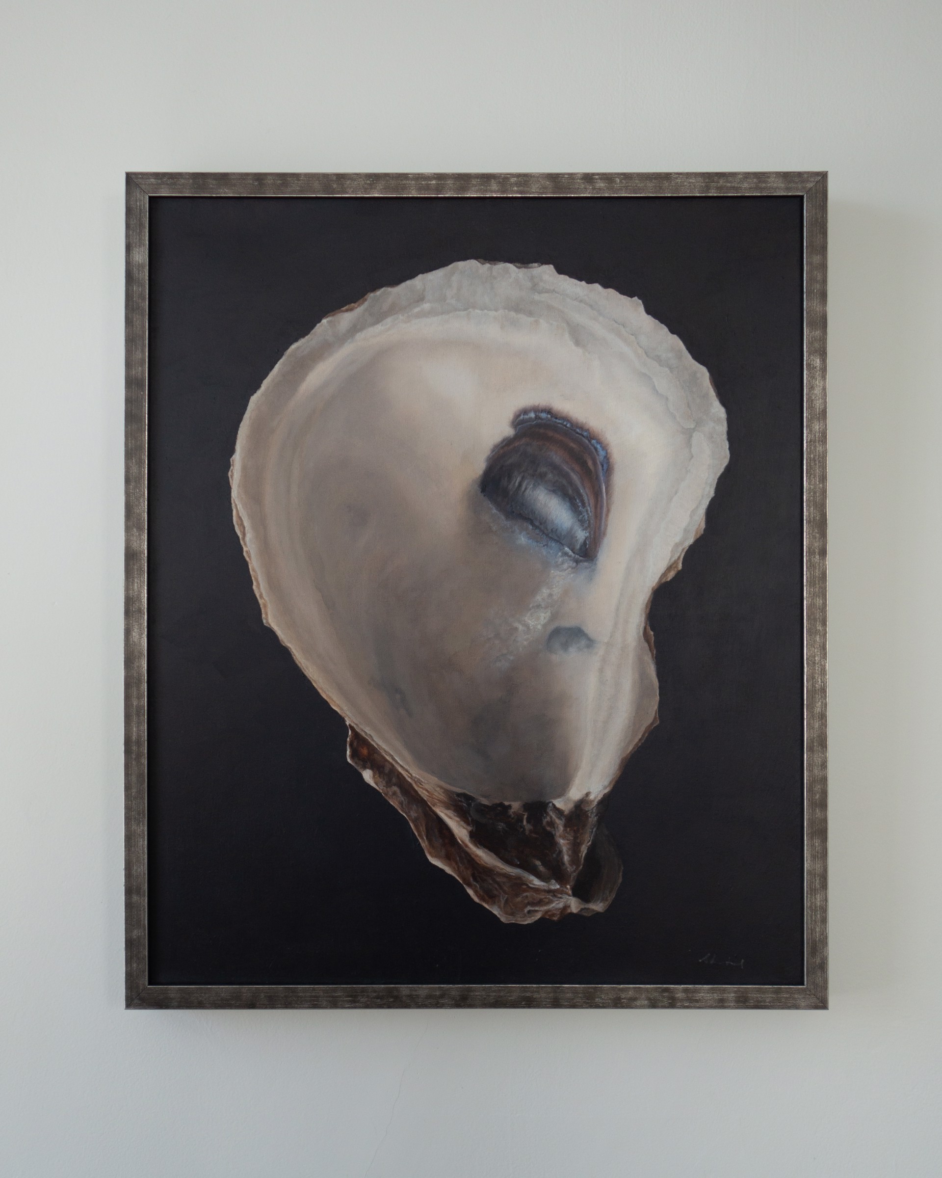 Oyster Shell No. 2 by Sarah Verardo