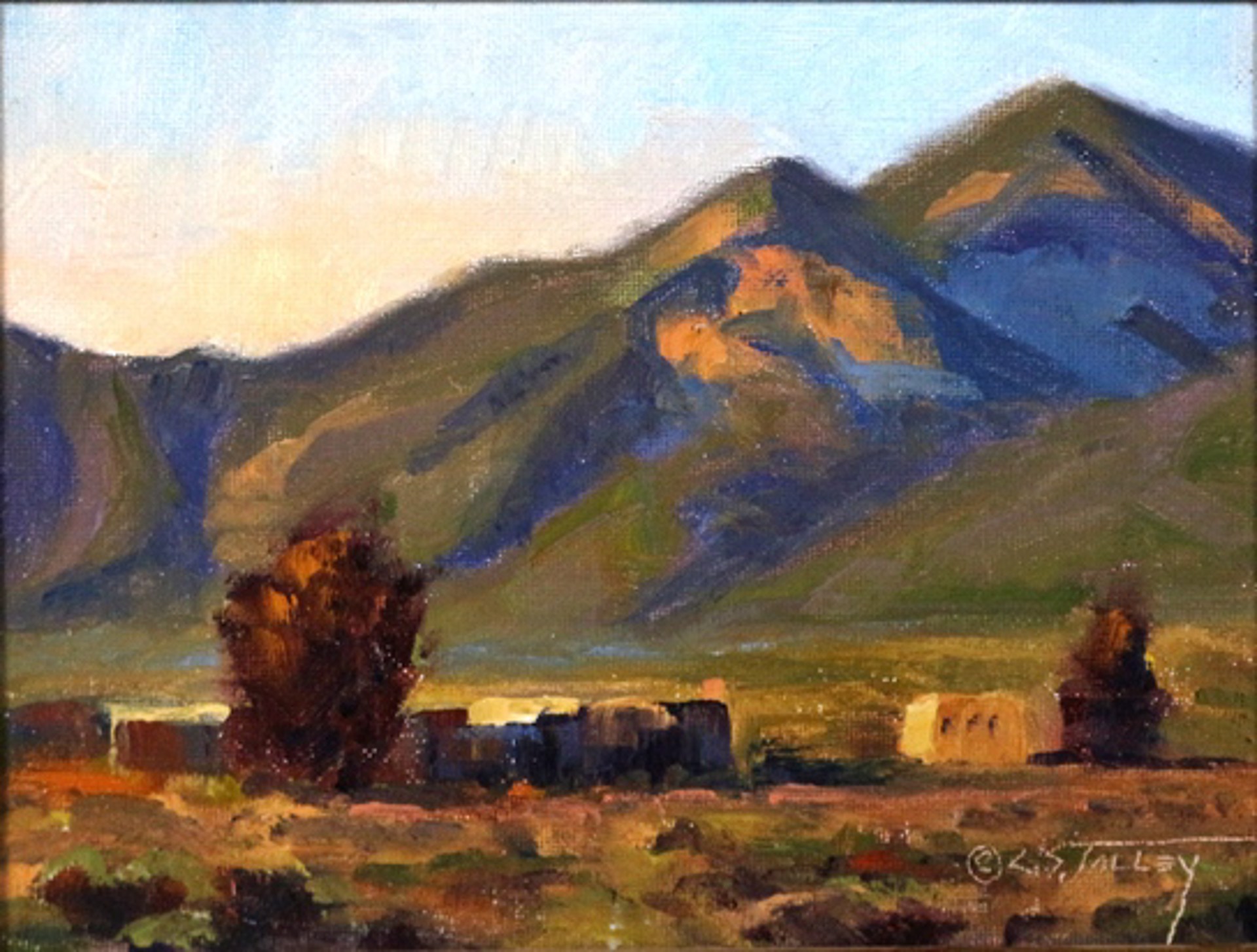 New Mexico's Northern Mountains by C. S. Talley
