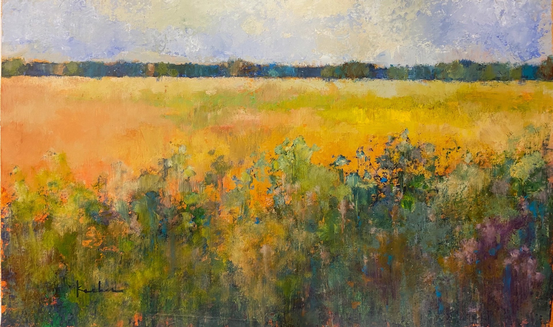 Flower Field by Jeff Koehn