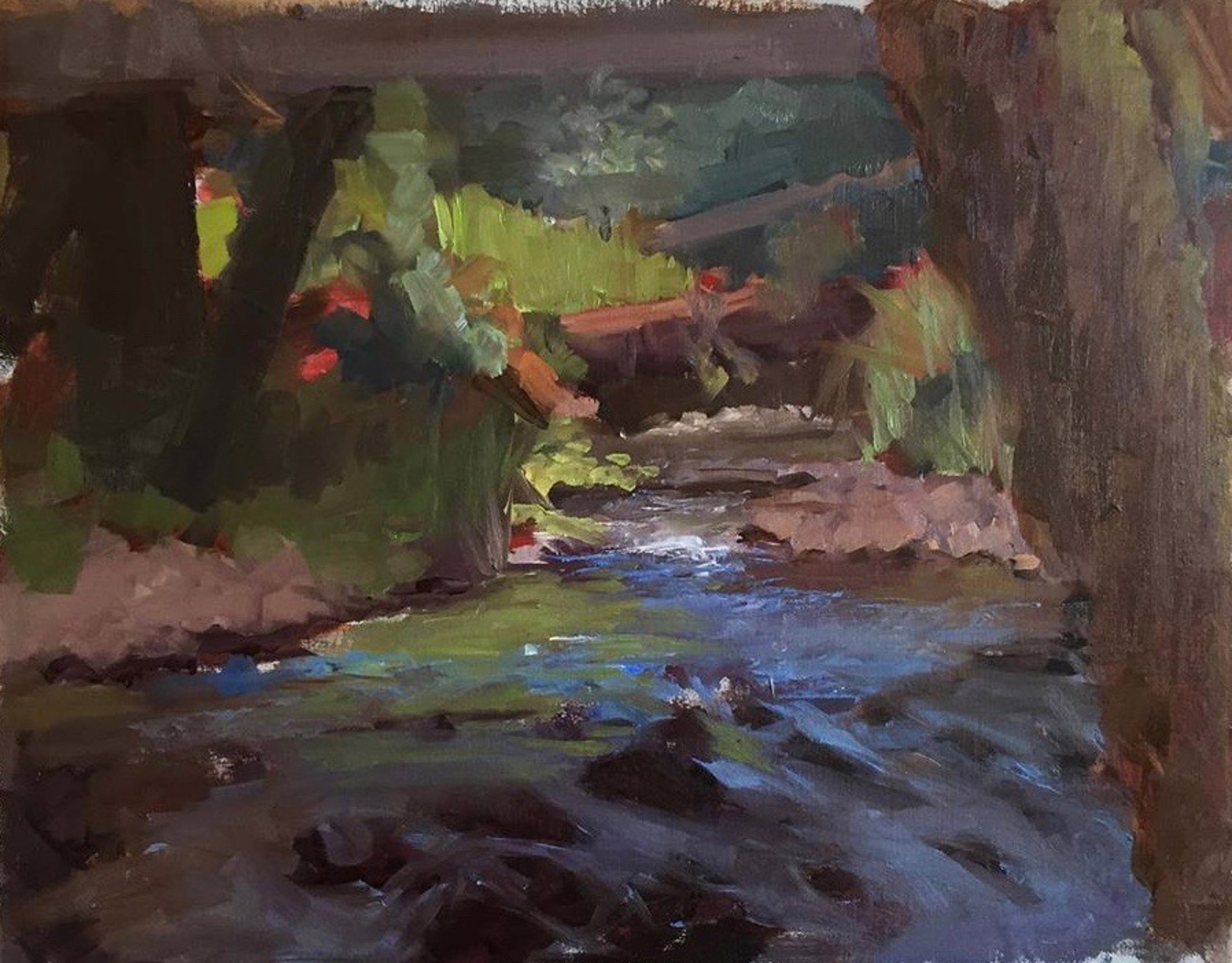 Gnat Creek by Robert Paulmenn