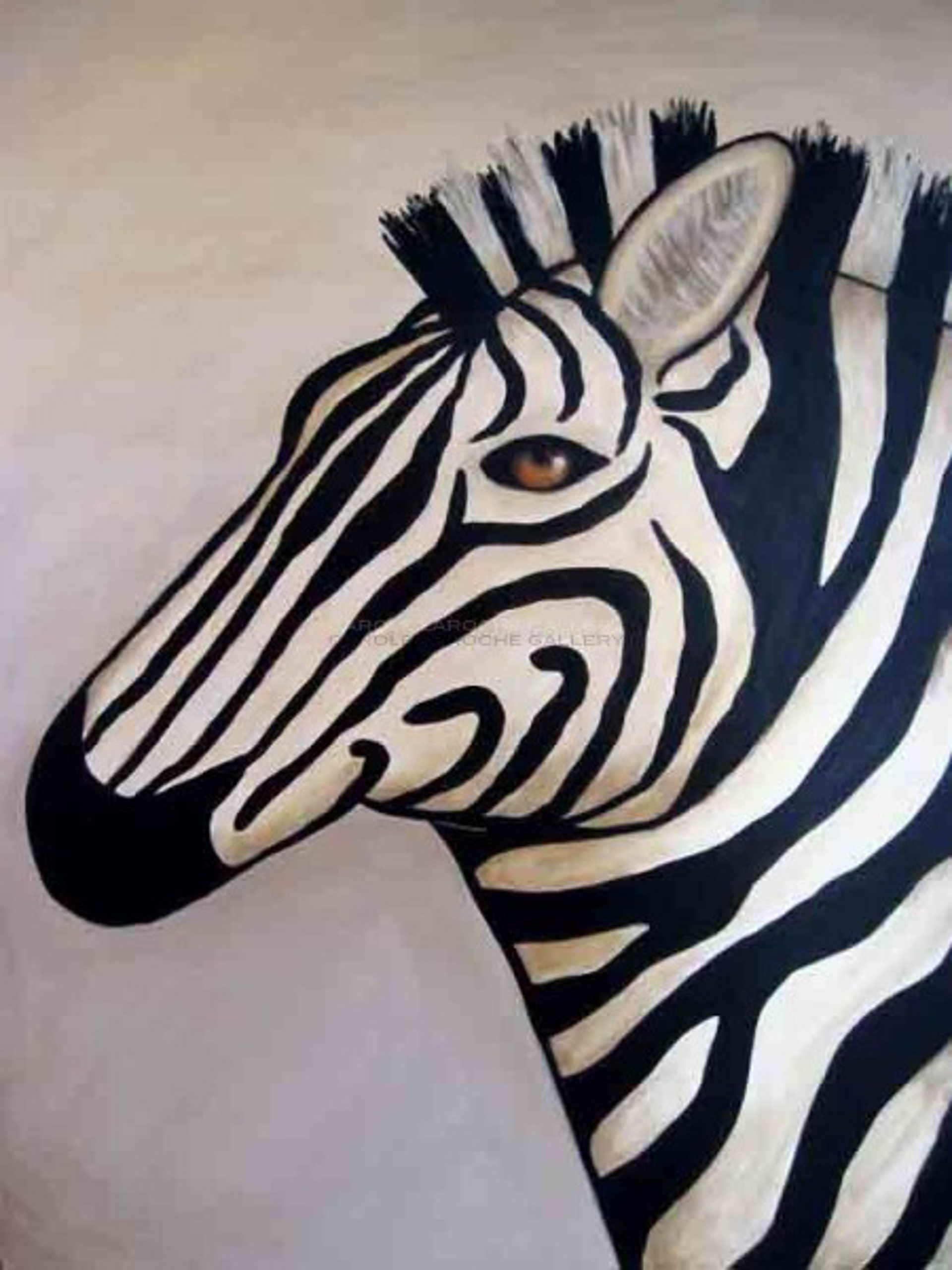 WHITE ZEBRA - limited edition giclee on canvas 40"x30" by Carole LaRoche