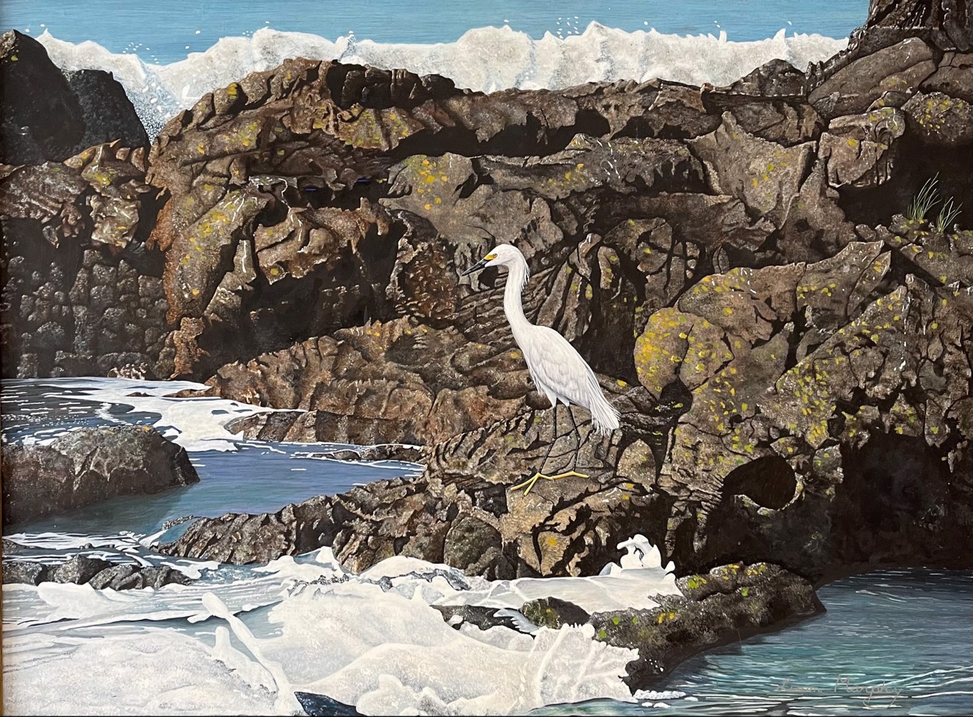 Hawaii White Heron by Liam Murphy