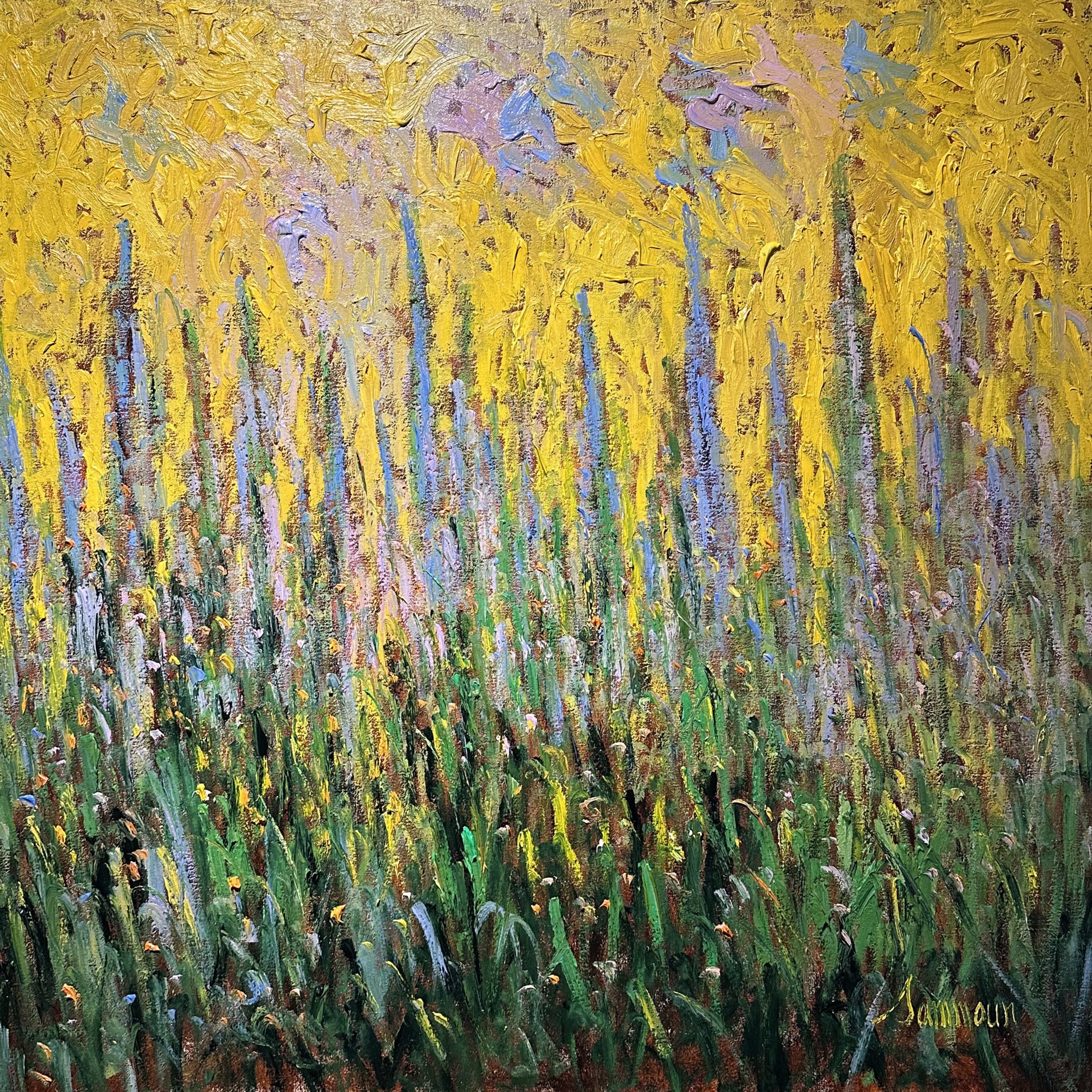 Lavandes et Lumière I by Samir Sammoun
