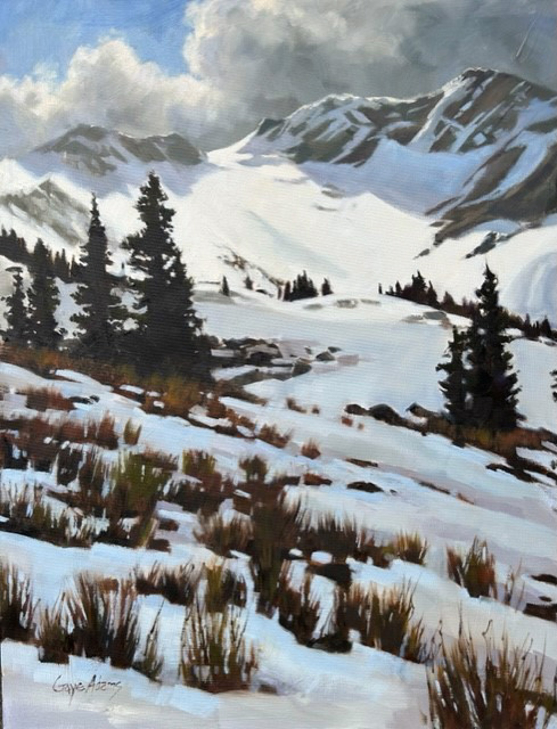 Afternoon Light on Whistler Bowl by GAYE ADAMS