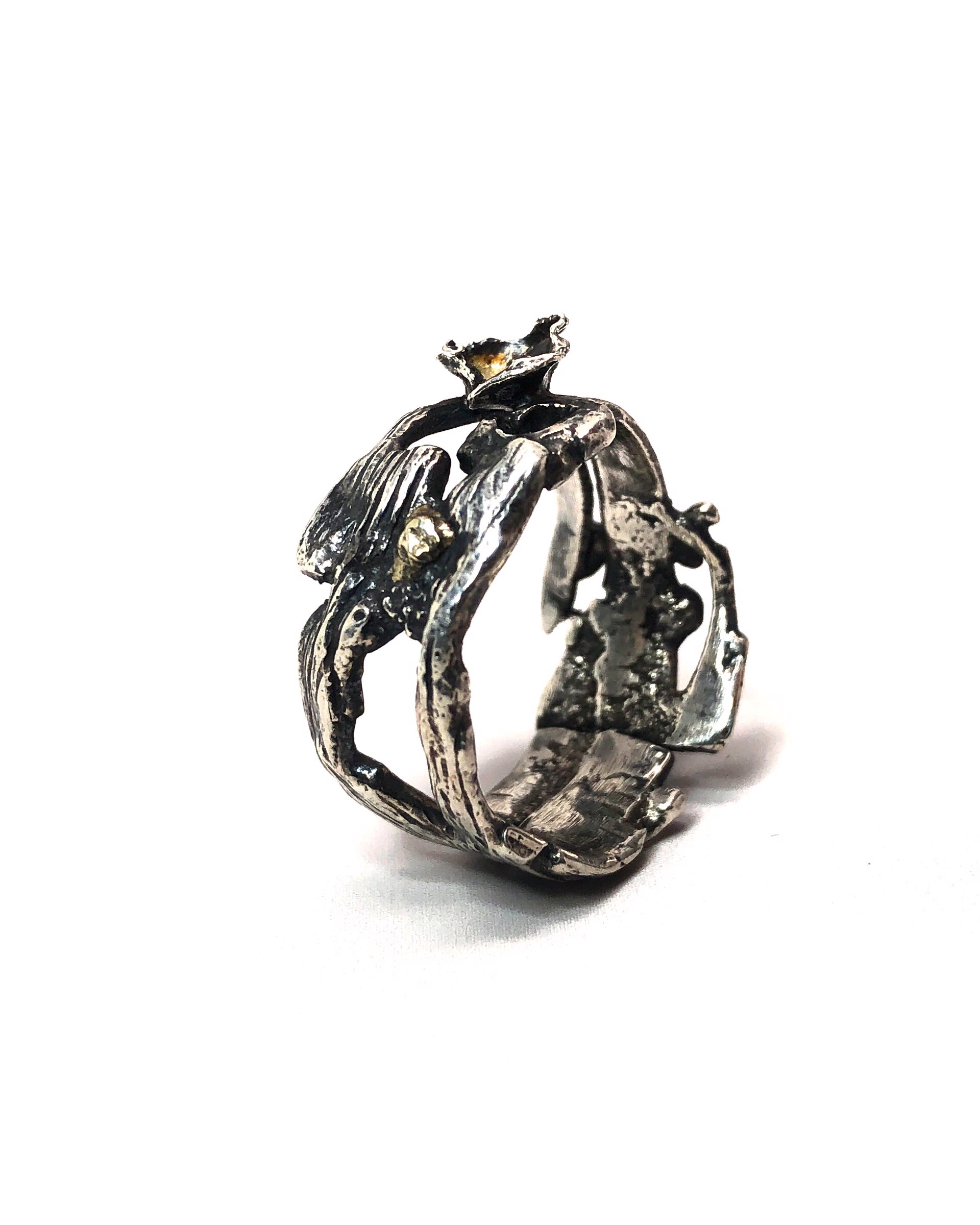Textured Lichen Ring by Carli Schultz