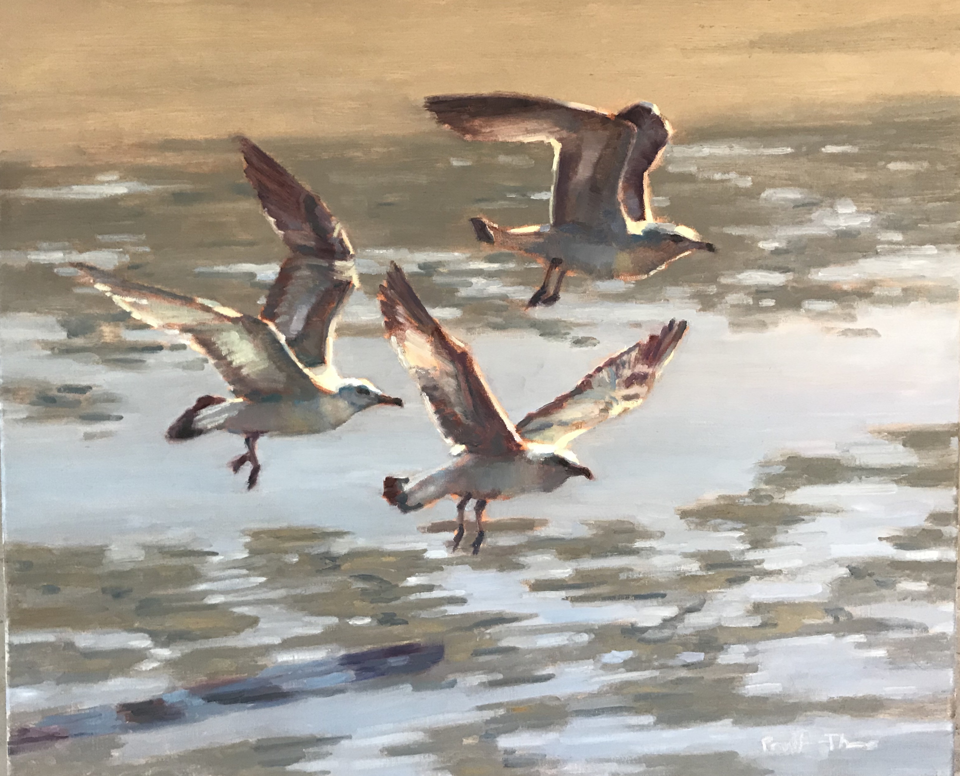 My Three Gulls by Leslie Pratt-Thomas