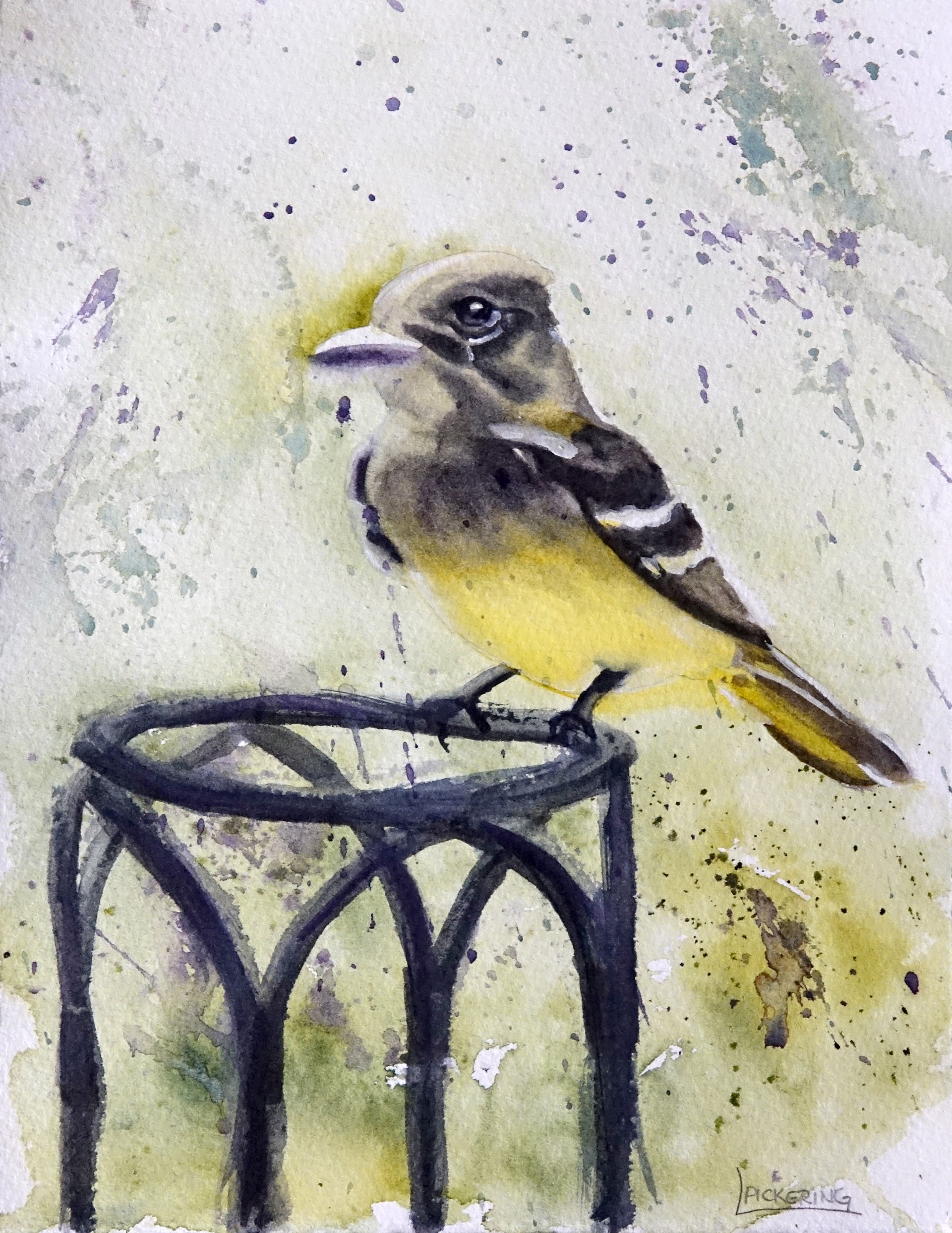 Great Crested Flycatcher II by Laura Pickering