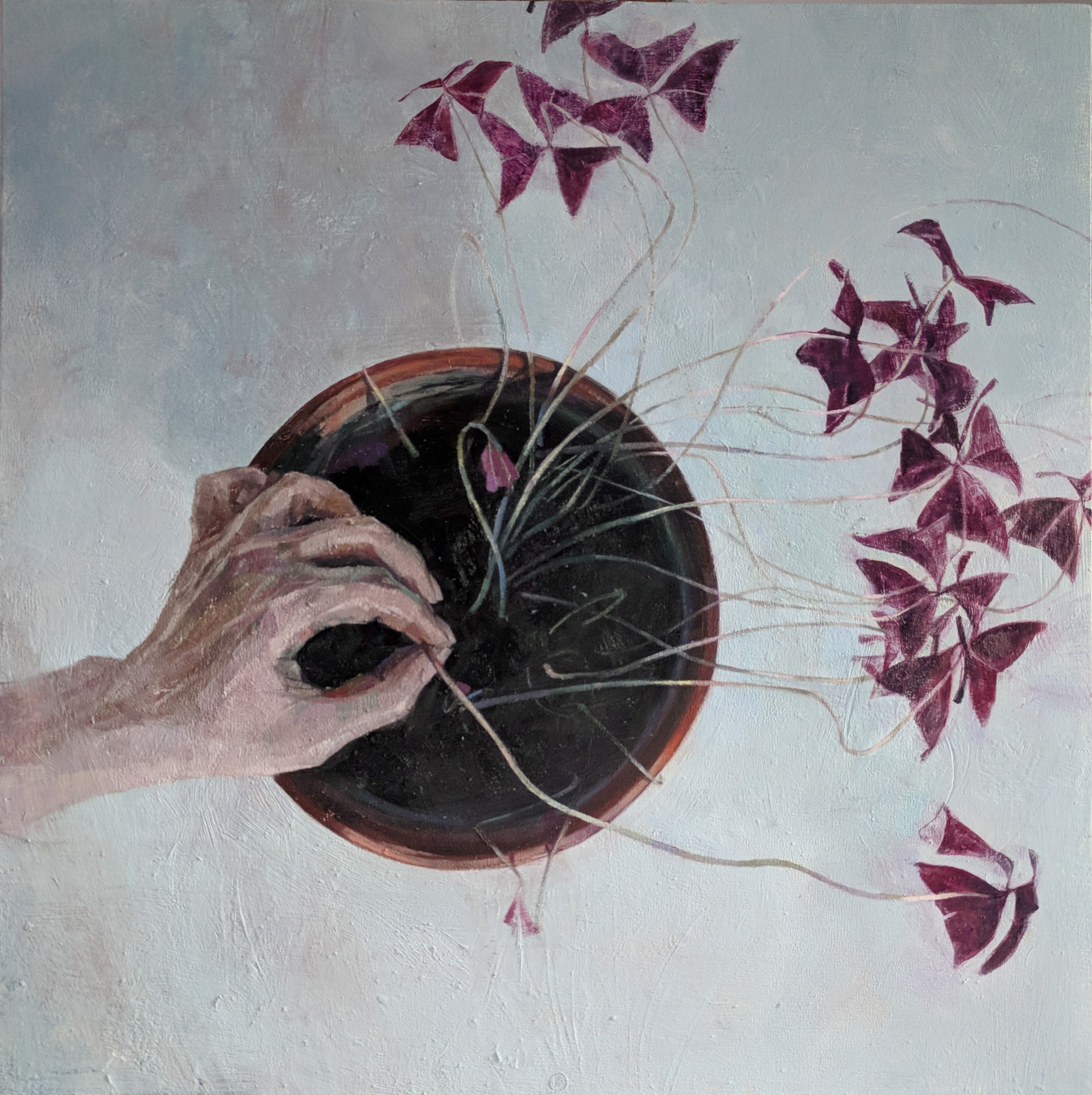 Fly Away by Elena Burykina