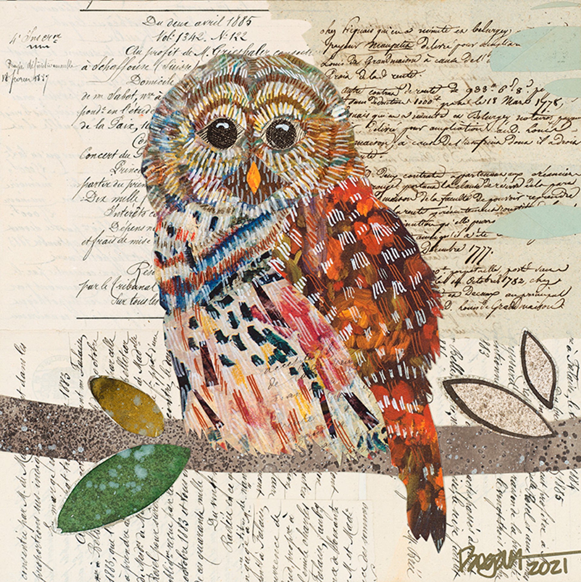 Barred Owl 5 by Brenda Bogart - Prints