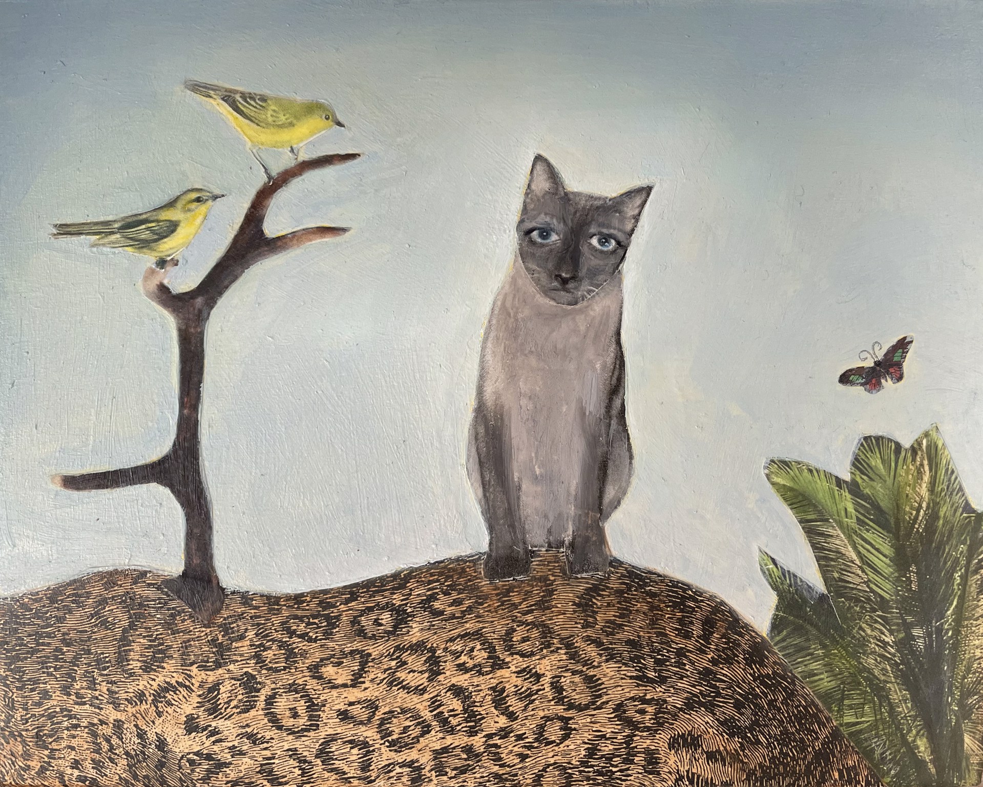 Cat by Suzanne Sbarge