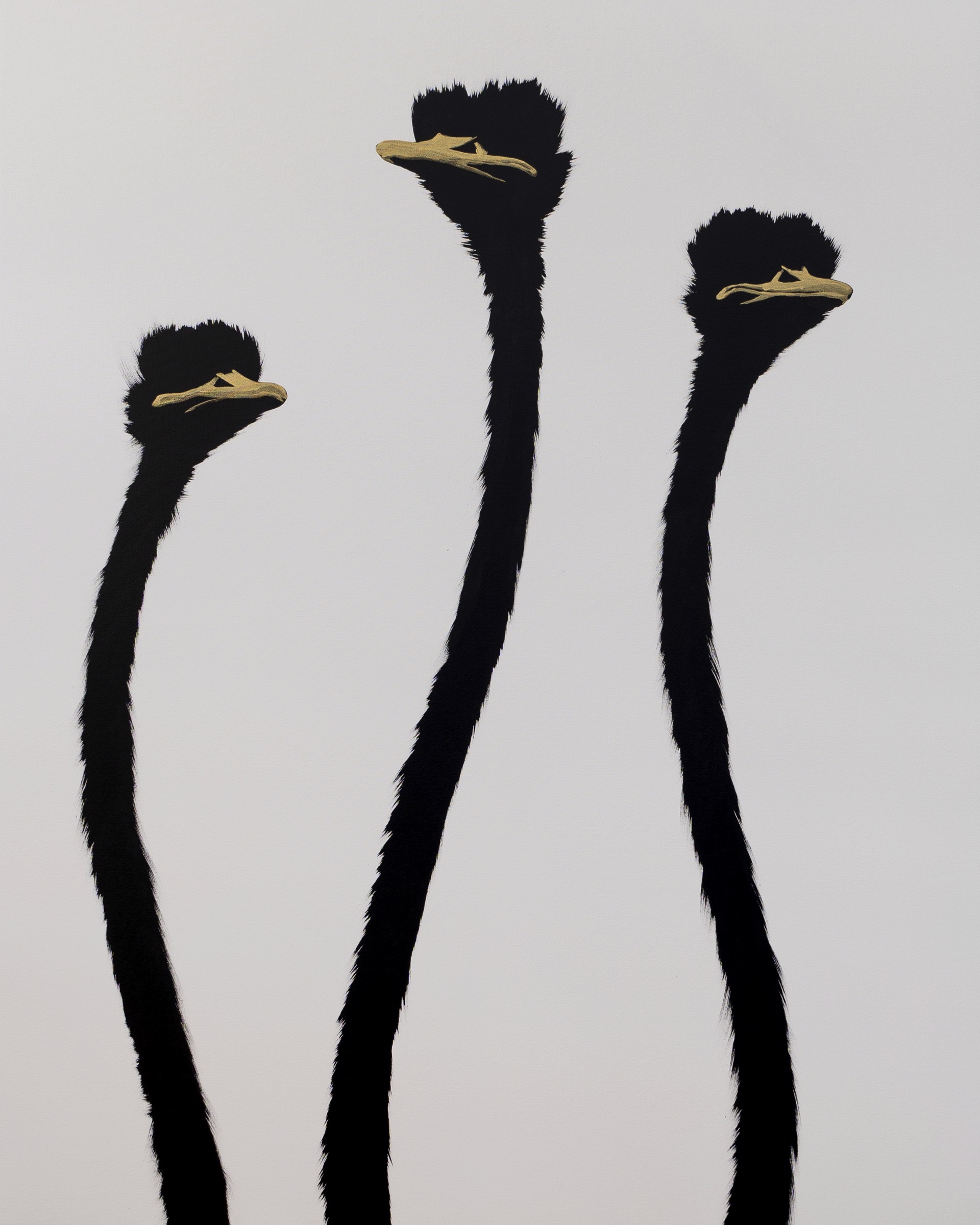 Three Gold Ostrich on White by Josh Brown