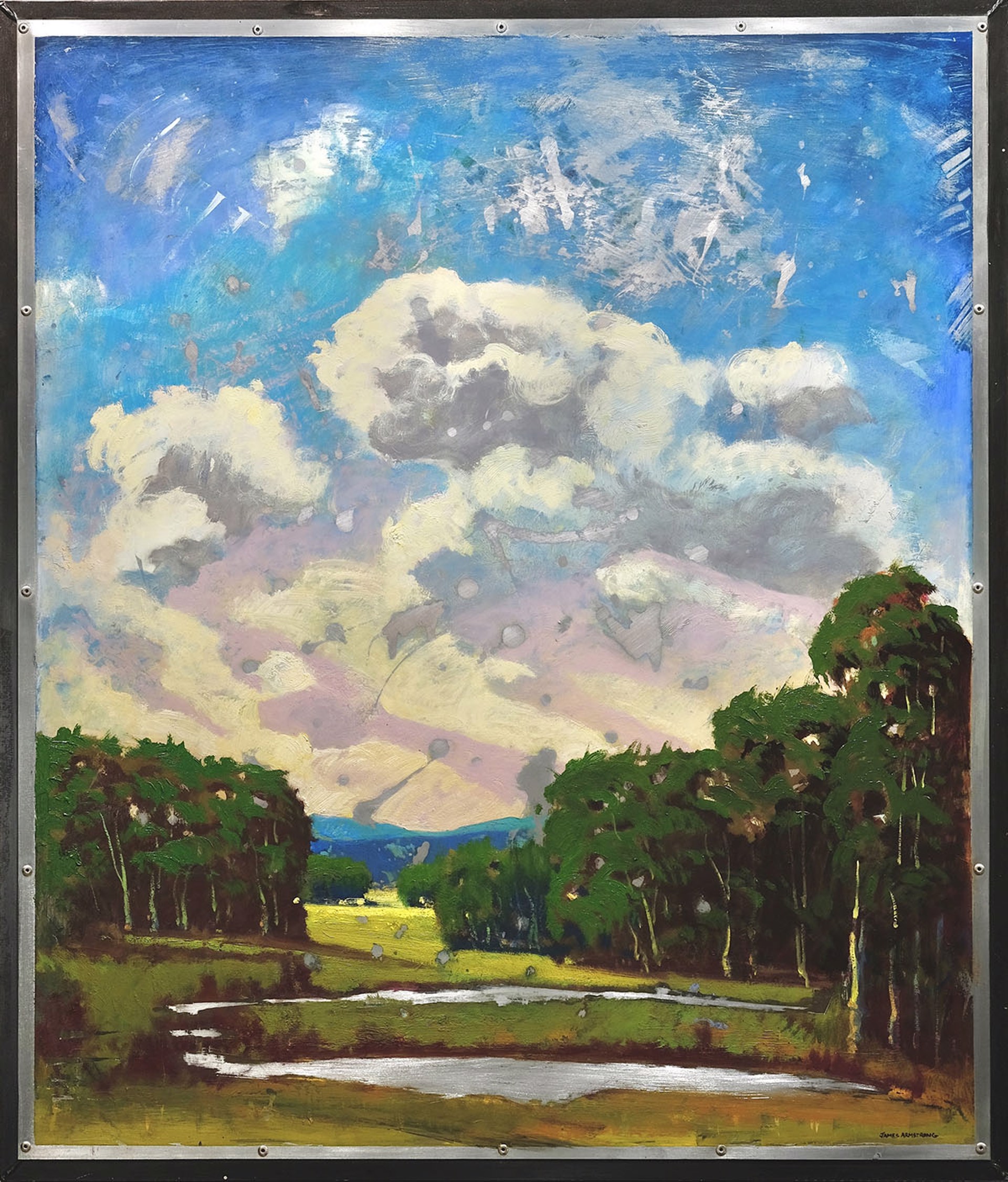 Field Waters by James Armstrong