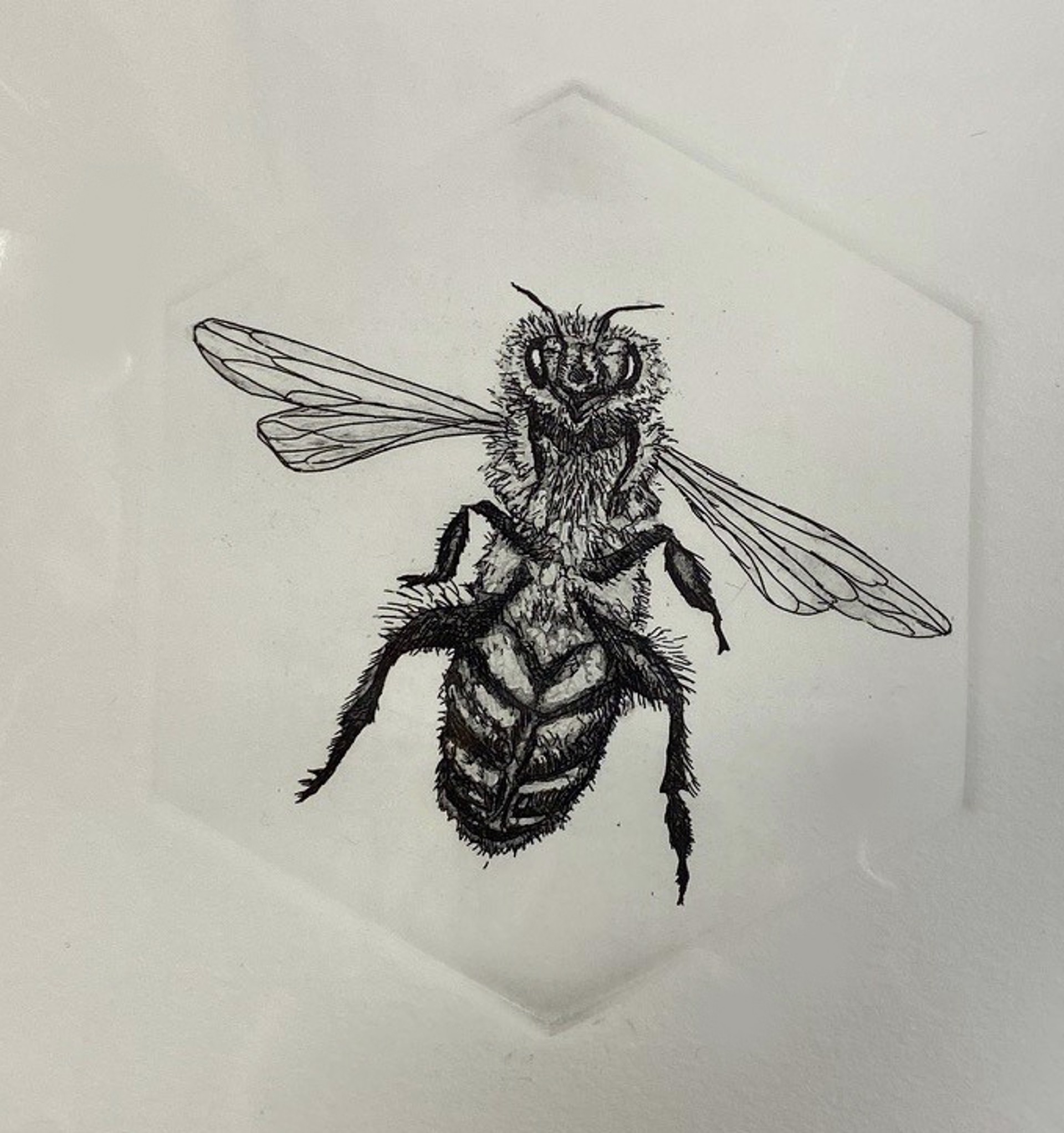 Honey Bee #5 by Marit Berg