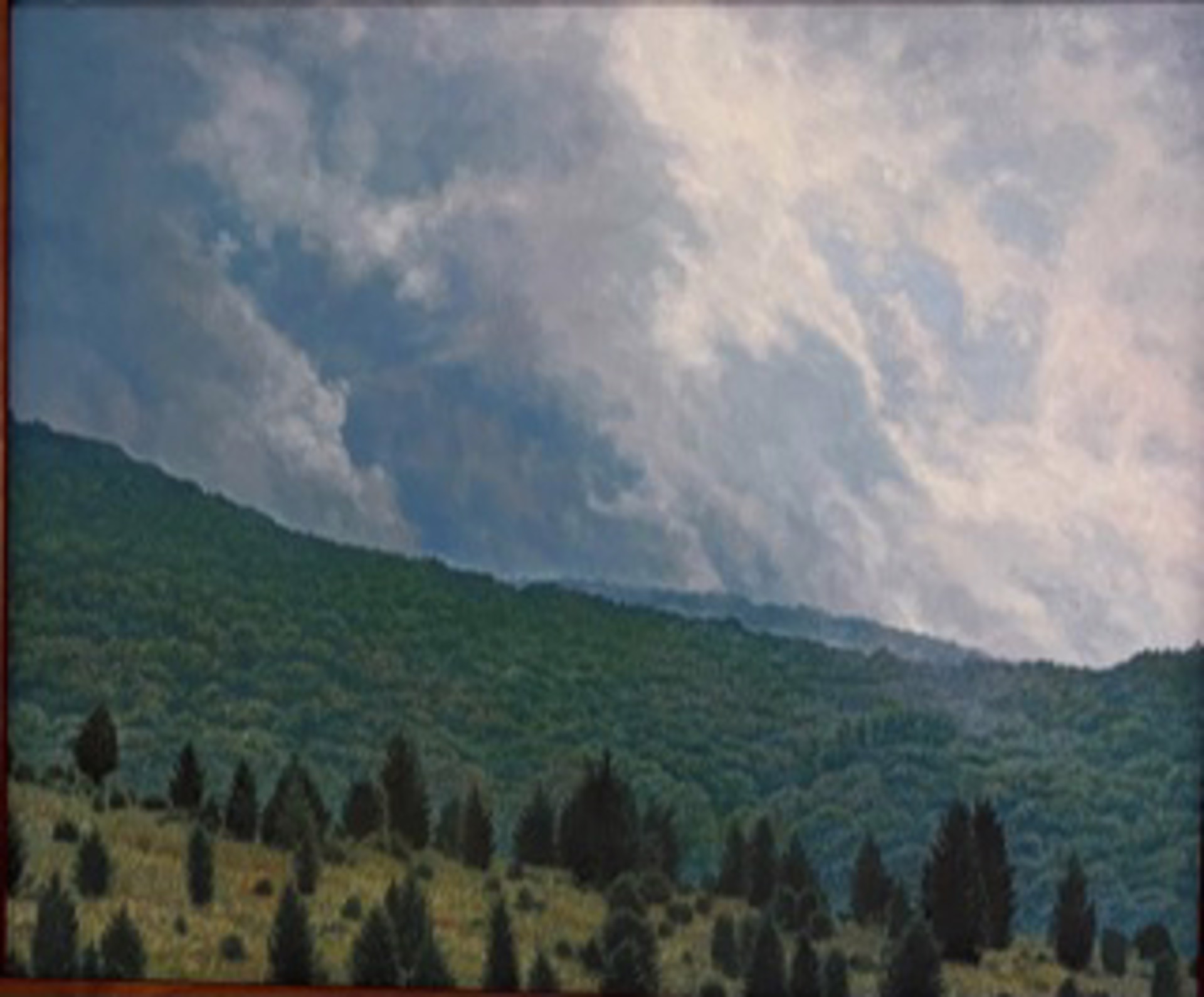 Cedars in the Storm - Study by Peter Krobath