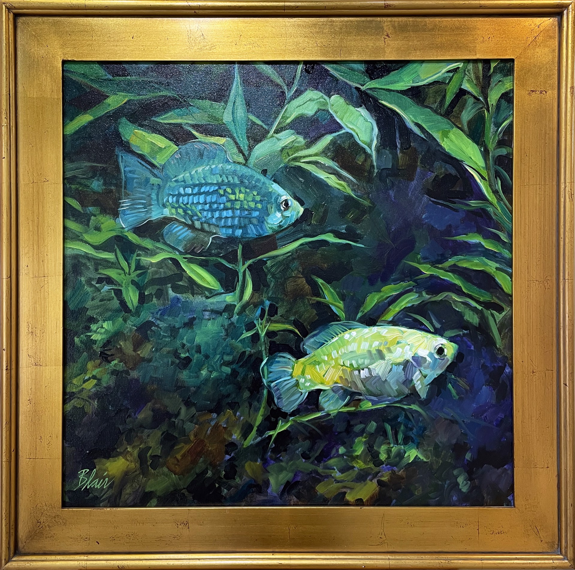 Fish by Eleanor Blair