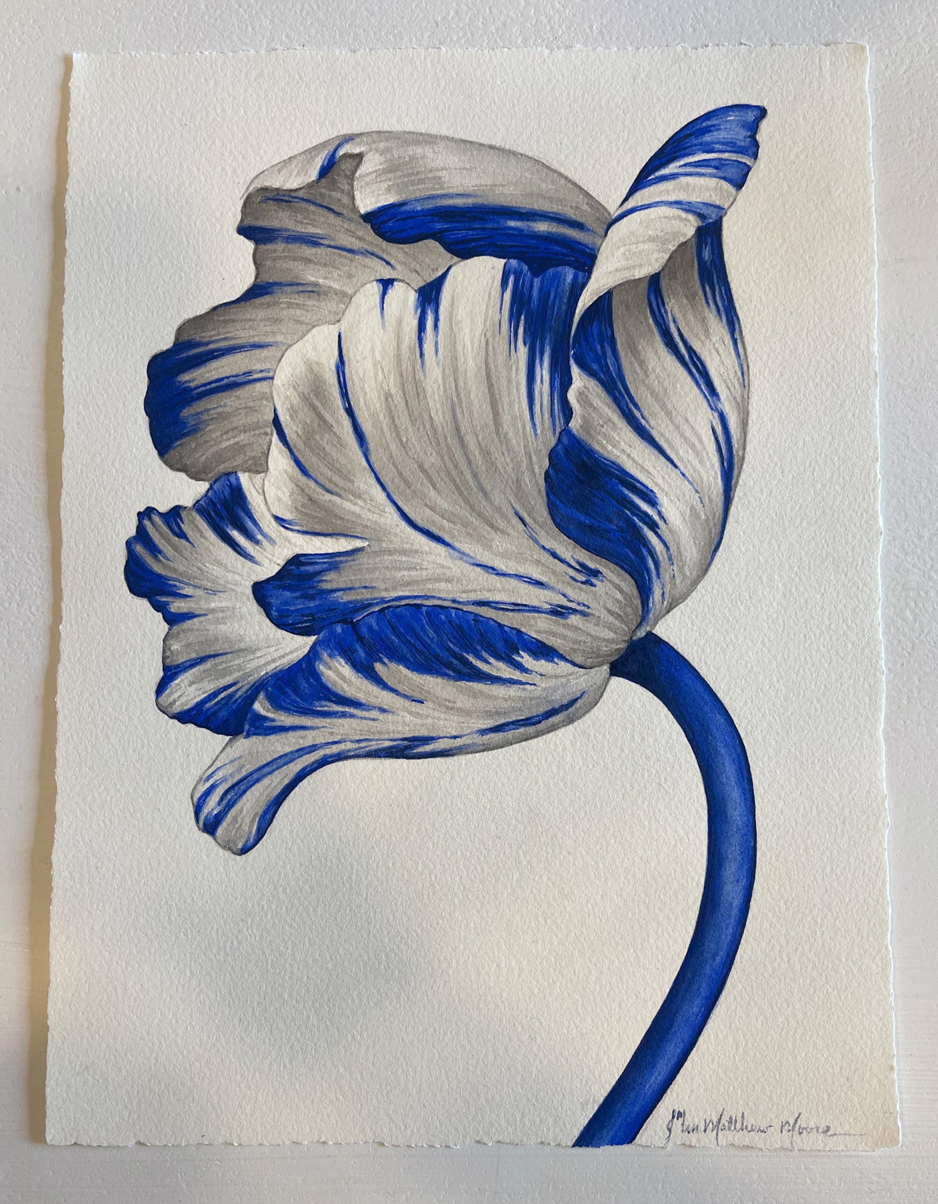 Blue Tulip by John Matthew Moore