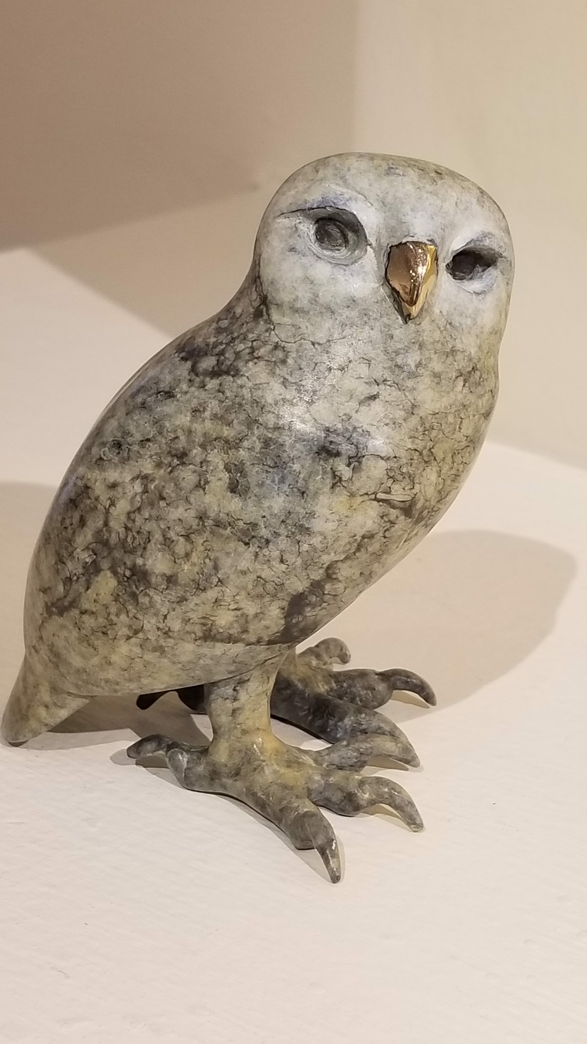 Tawny Owl by Brian Arthur