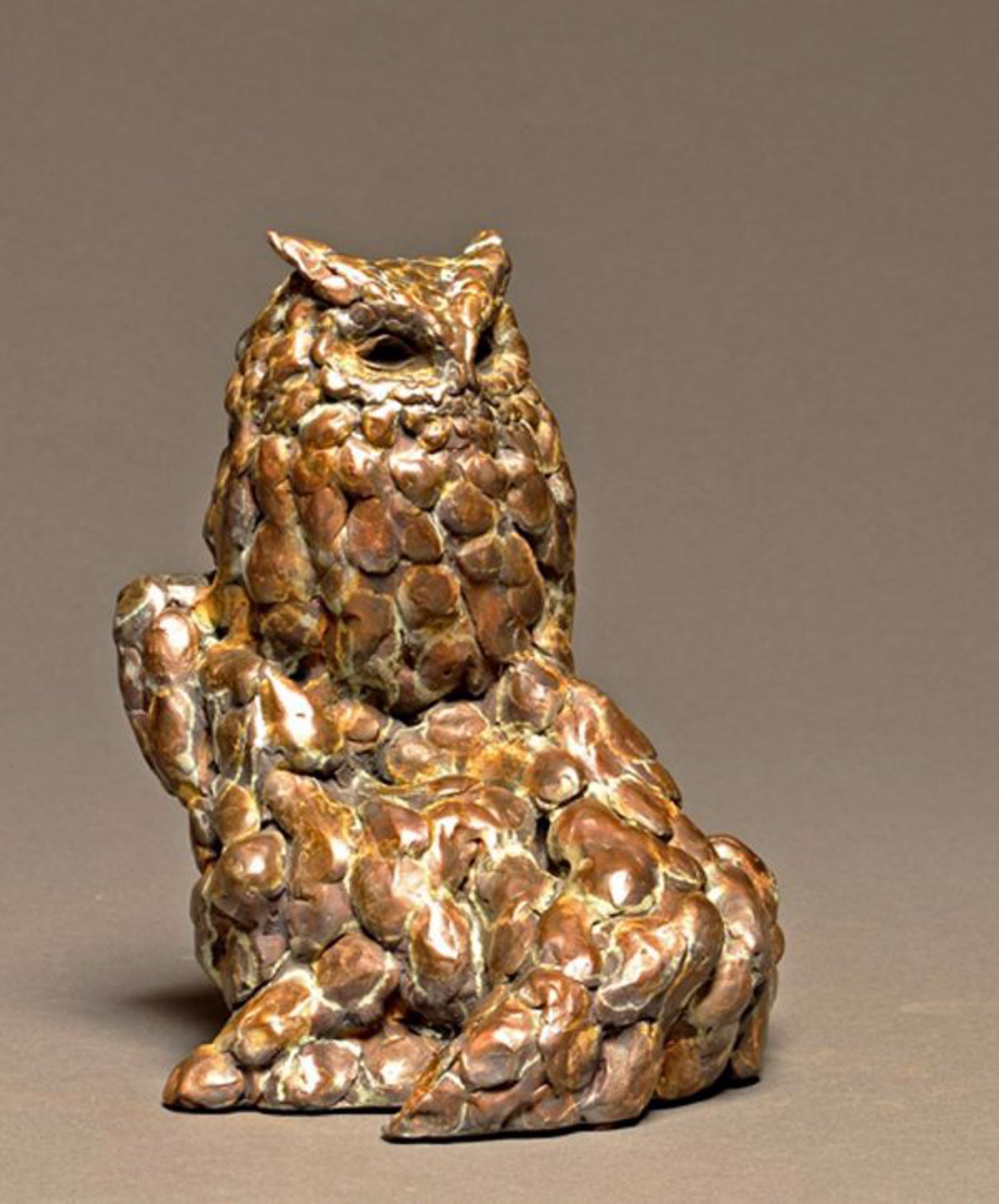 Wise Guy (Screech Owl) by Stefan Savides
