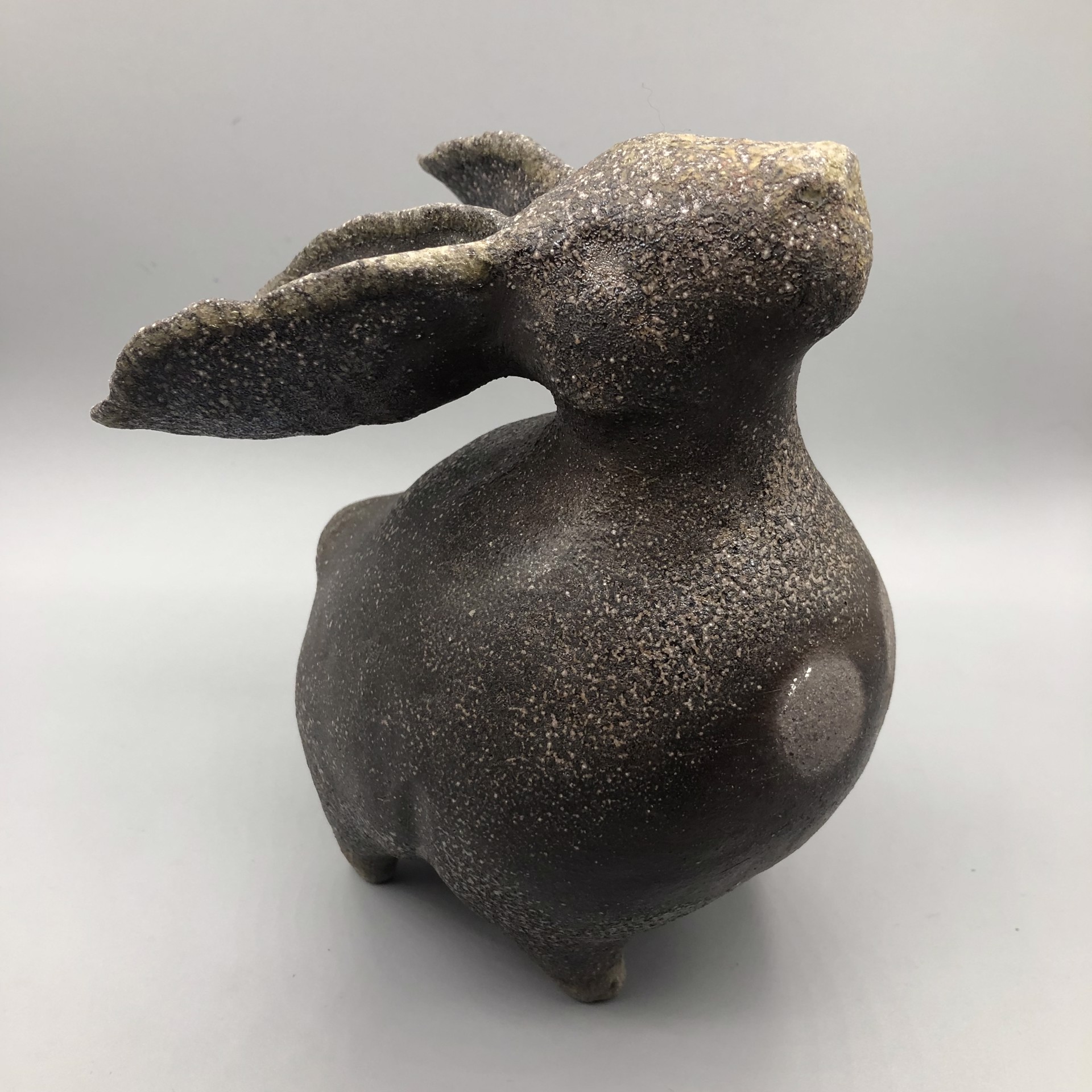 Dusk Rabbit by Christopher St. John