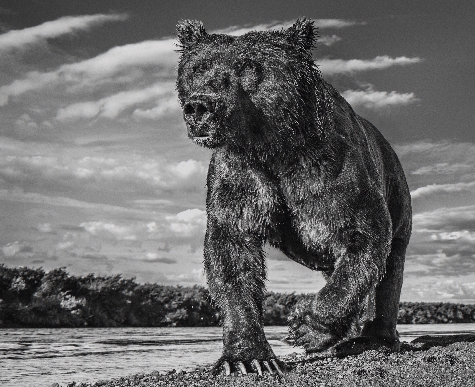 The Fisher King by David Yarrow