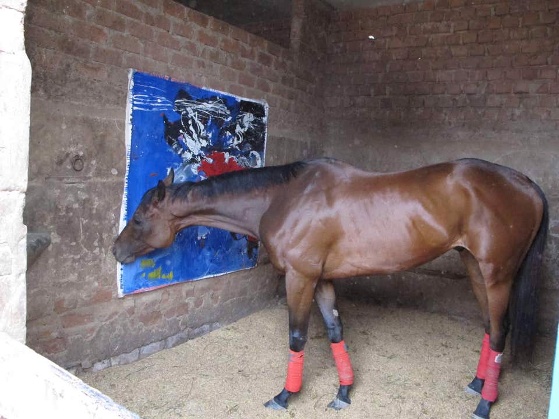 Karma (paintings for race horses) by Joaquin Goldstein