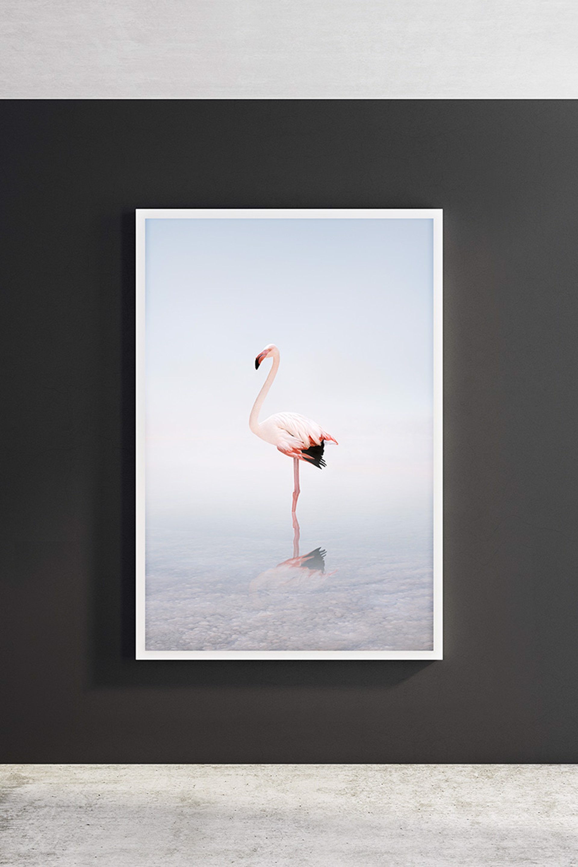 White Flamingo by Alice Zilberberg