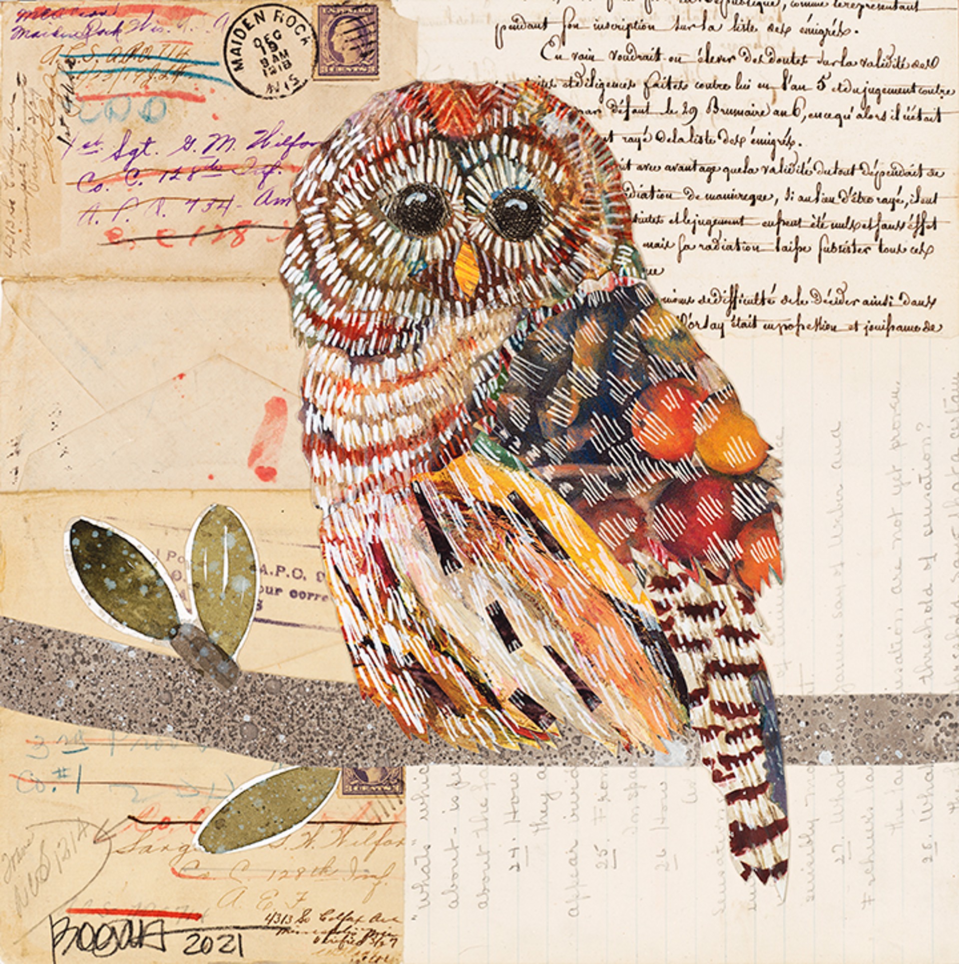 Barred Owl 4 by Brenda Bogart - Prints